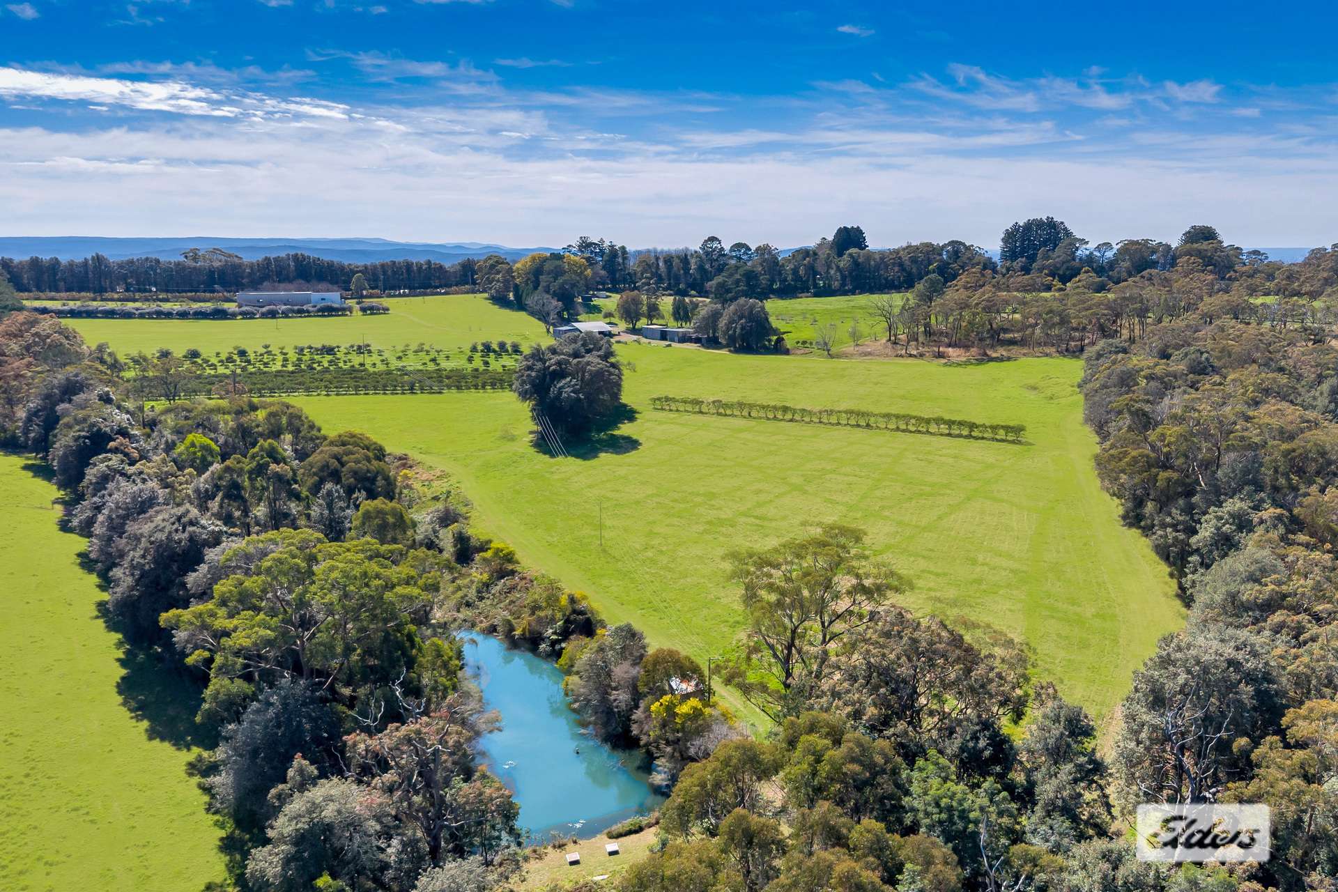 323 Forest Road, Kulnura For Sale by Farmbuy.com - image 1