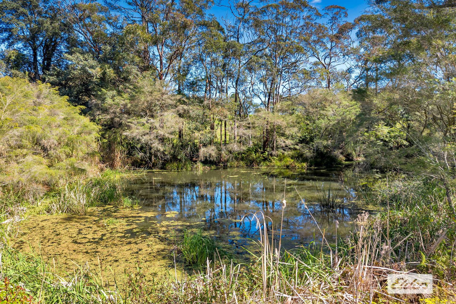 323 Forest Road, Kulnura For Sale by Farmbuy.com - image 7