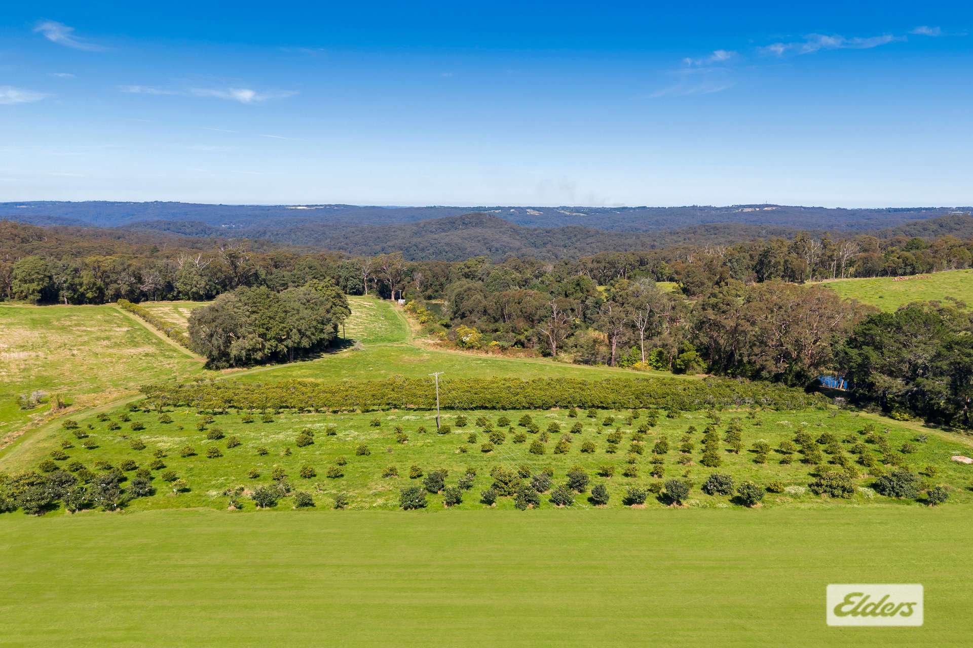 323 Forest Road, Kulnura For Sale by Farmbuy.com - image 9