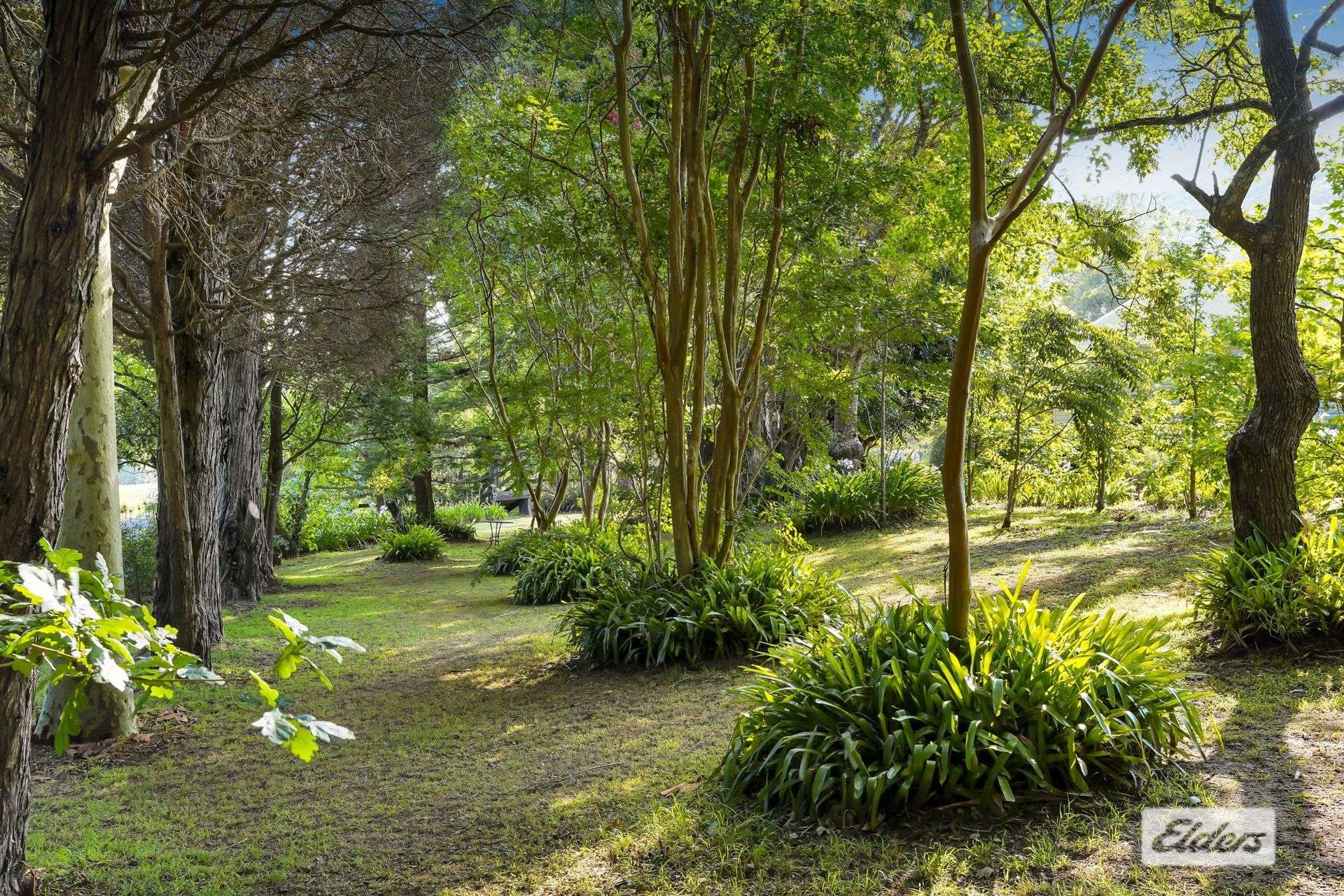 1698 Yarramalong Road, Yarramalong For Sale by Farmbuy.com - image 31