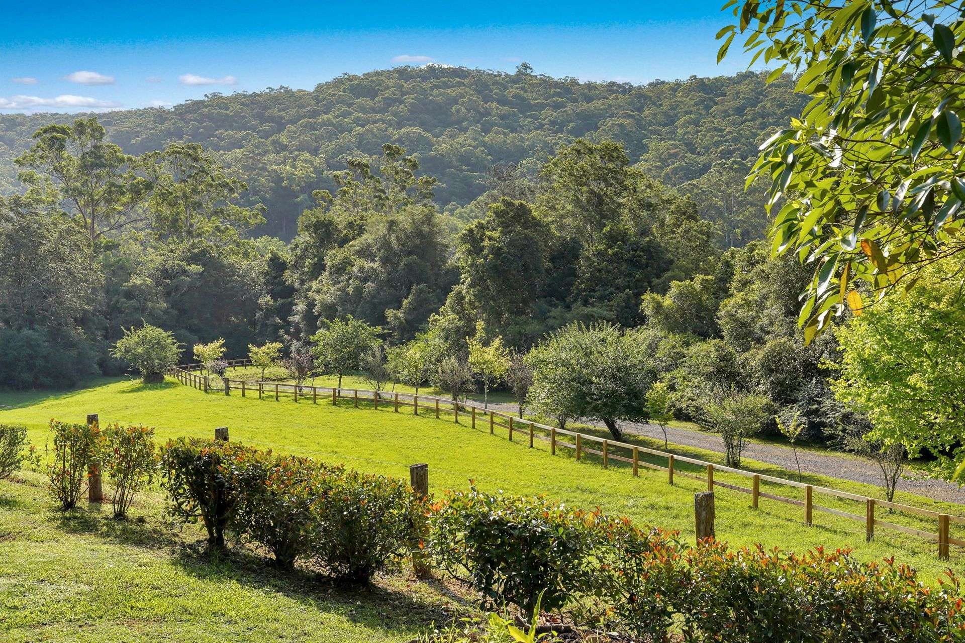 1698 Yarramalong Road, Yarramalong For Sale by Farmbuy.com - image 24