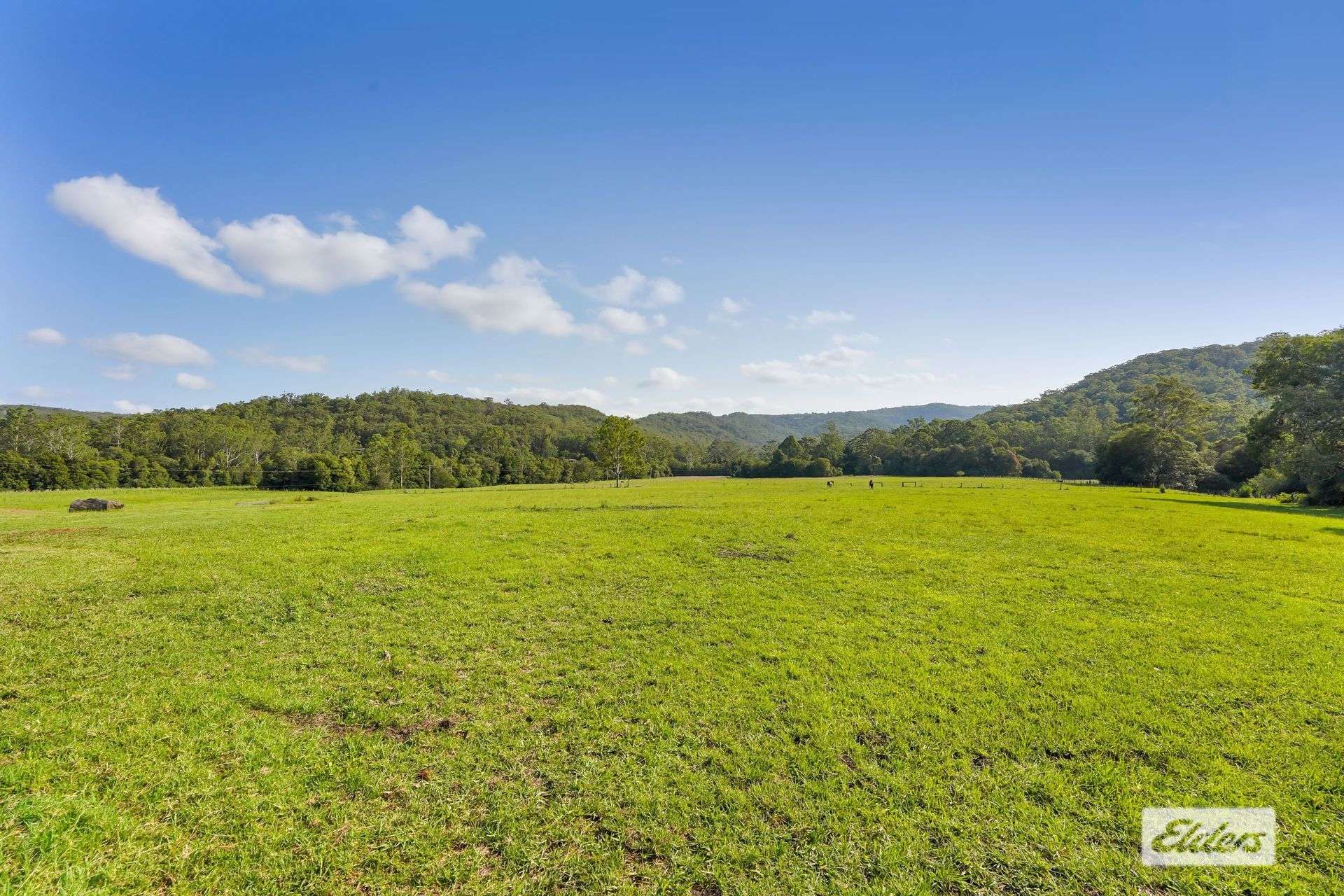 1698 Yarramalong Road, Yarramalong For Sale by Farmbuy.com - image 33