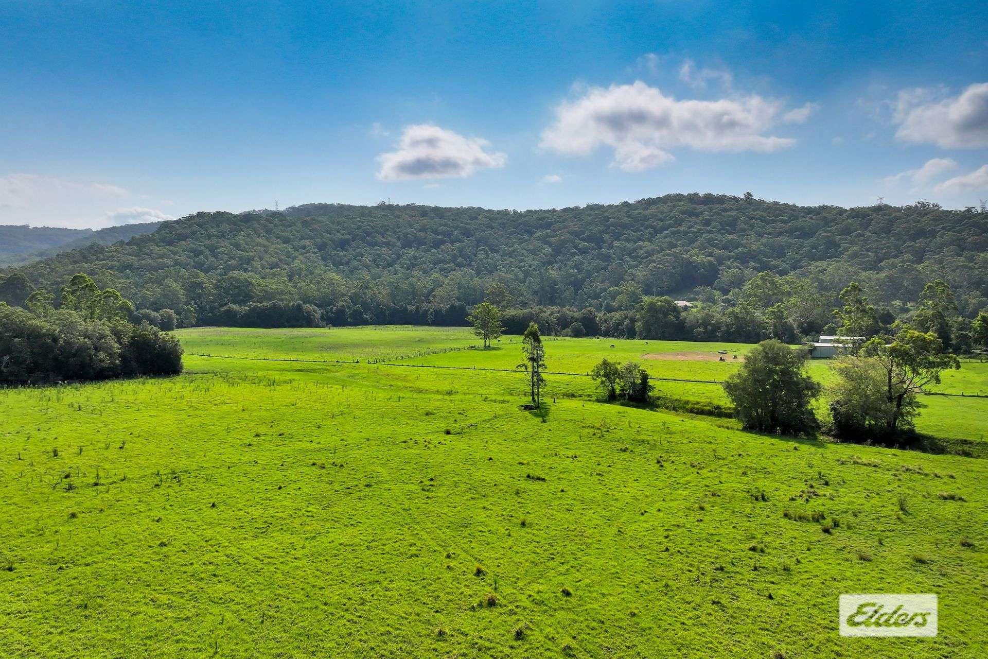 1698 Yarramalong Road, Yarramalong For Sale by Farmbuy.com - image 12