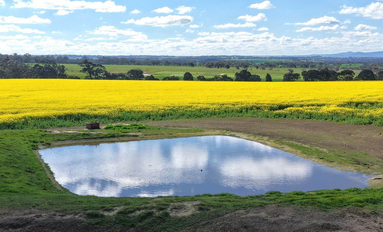 Lot 1153 Crockerup Road, Mount Barker For Sale by Farmbuy.com - image 6