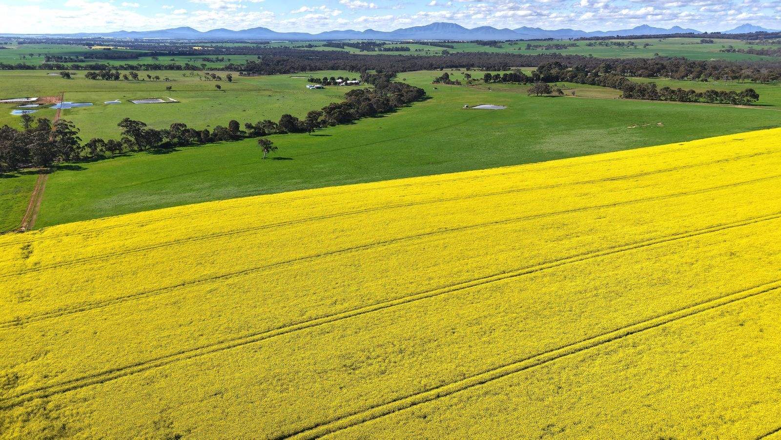 Lot 1153 Crockerup Road, Mount Barker For Sale by Farmbuy.com - image 5