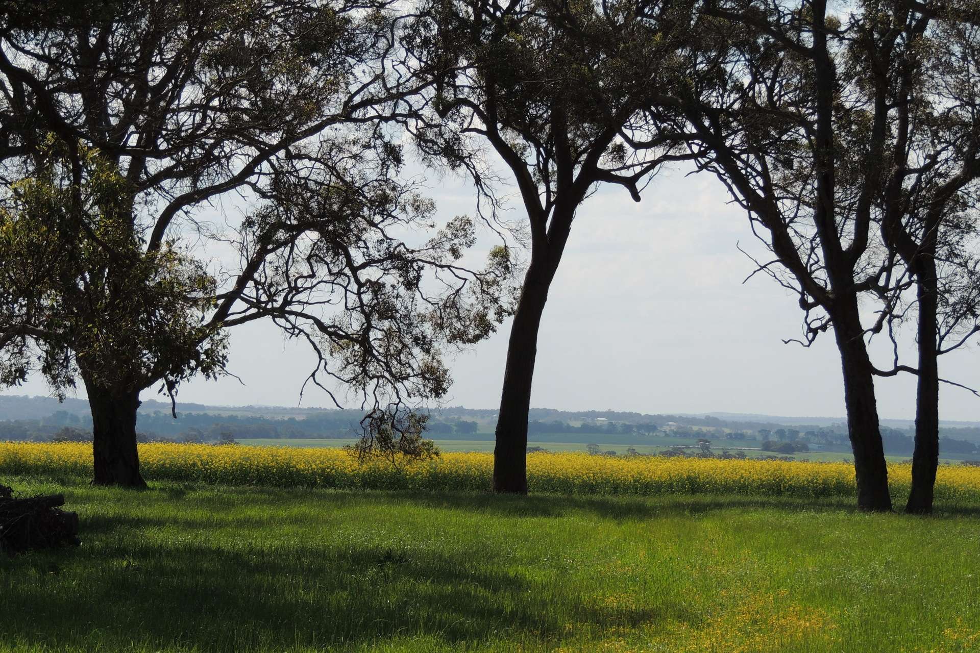 Lot 1153 Crockerup Road, Mount Barker For Sale by Farmbuy.com - image 19