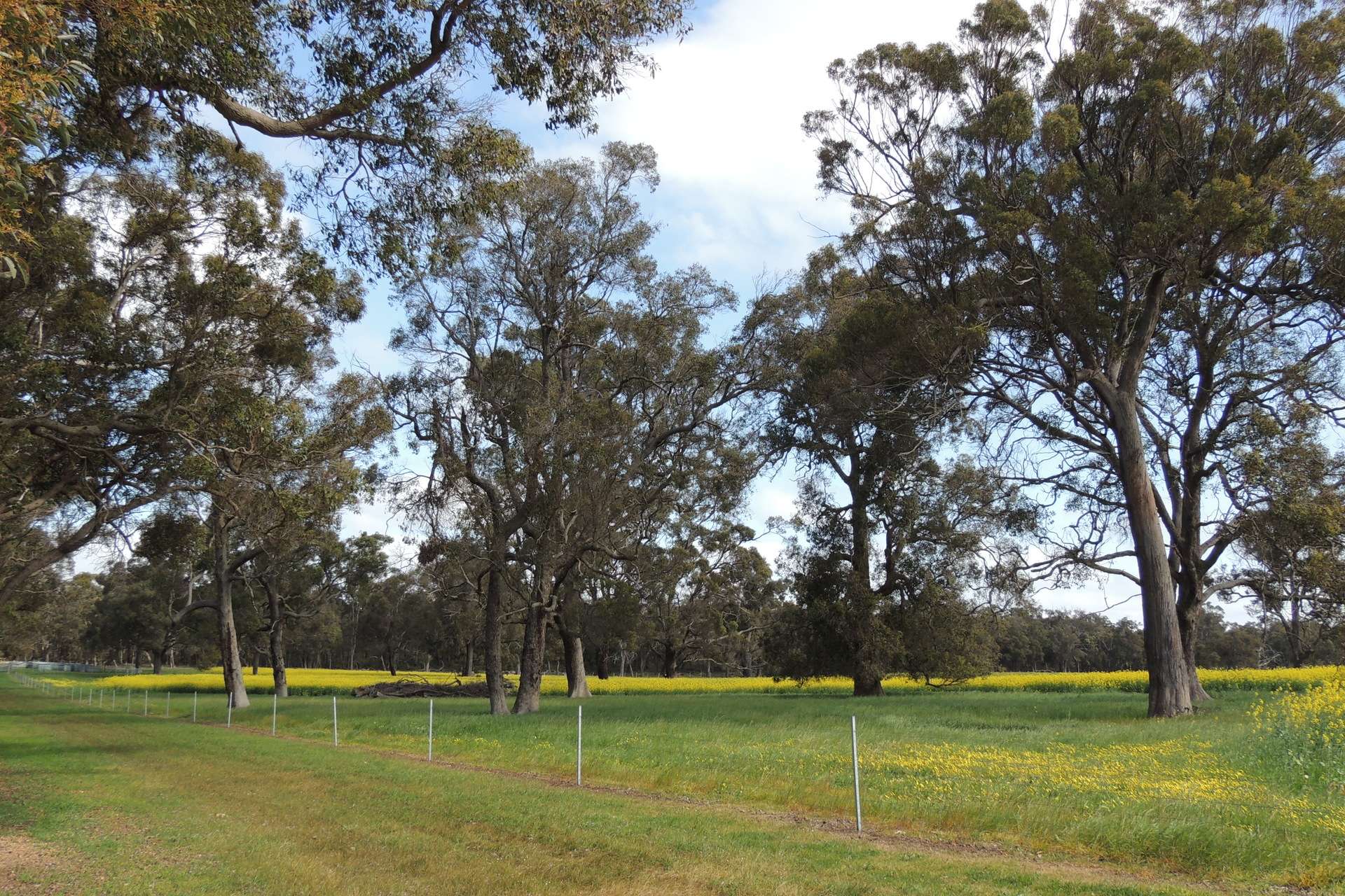 Lot 1153 Crockerup Road, Mount Barker For Sale by Farmbuy.com - image 10