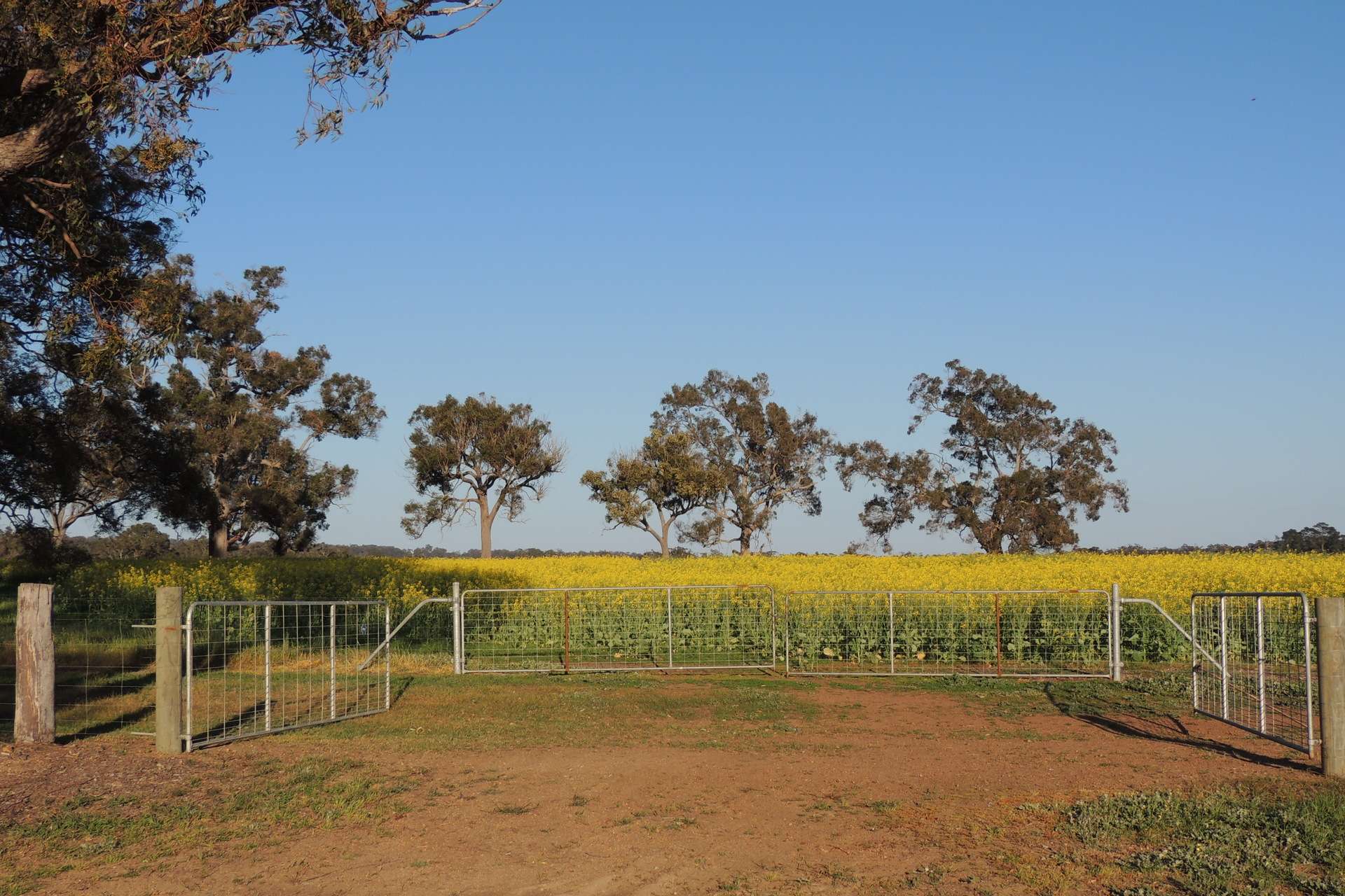 Lot 1153 Crockerup Road, Mount Barker For Sale by Farmbuy.com - image 9