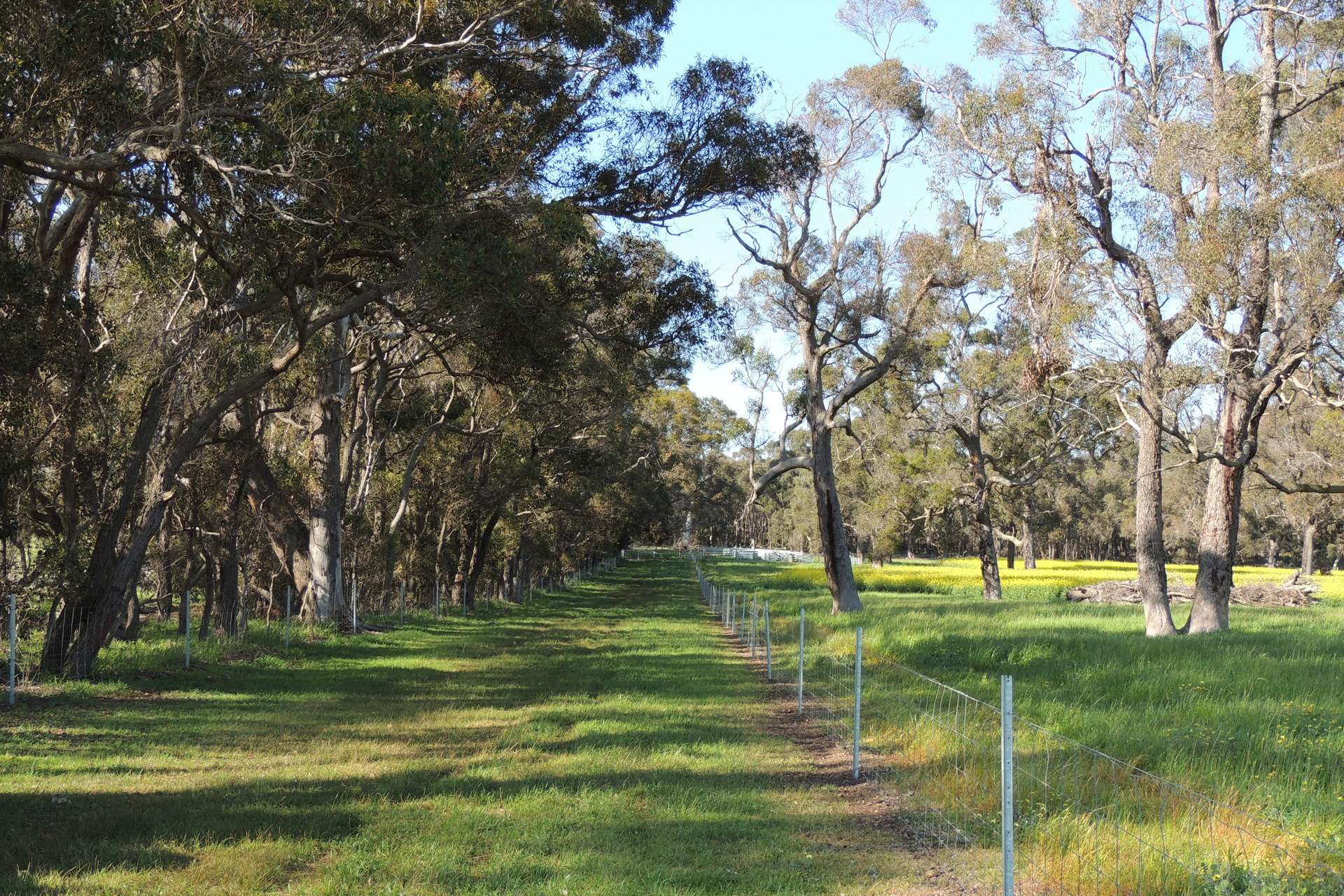 Lot 1153 Crockerup Road, Mount Barker For Sale by Farmbuy.com - image 12
