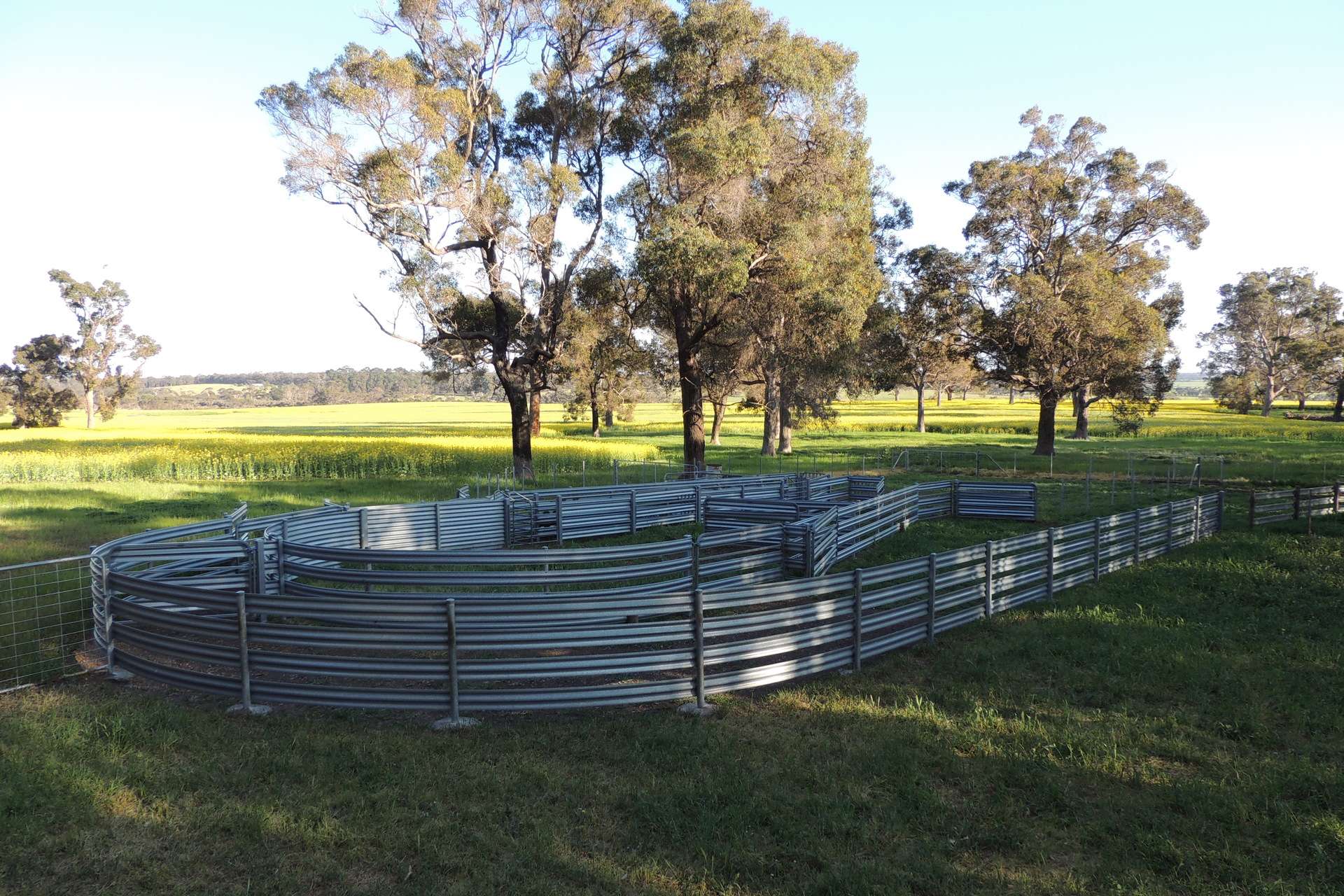 Lot 1153 Crockerup Road, Mount Barker For Sale by Farmbuy.com - image 14