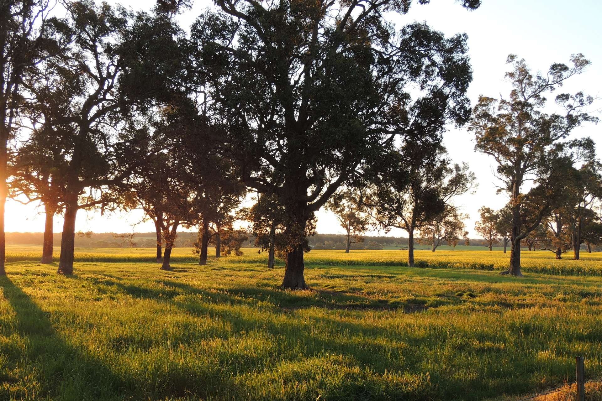 Lot 1153 Crockerup Road, Mount Barker For Sale by Farmbuy.com - image 18