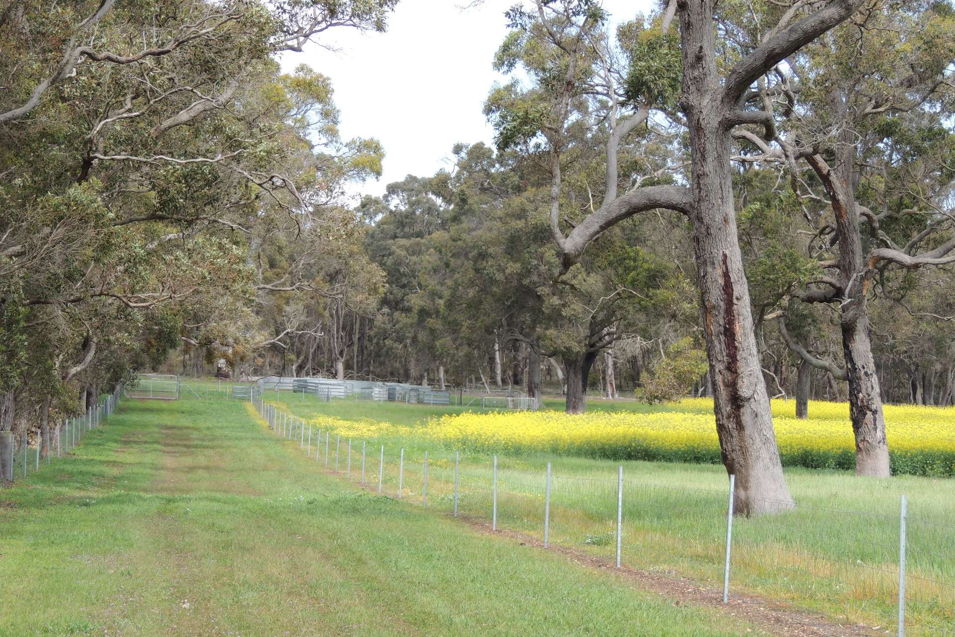Lot 1153 Crockerup Road, Mount Barker For Sale by Farmbuy.com - image 11