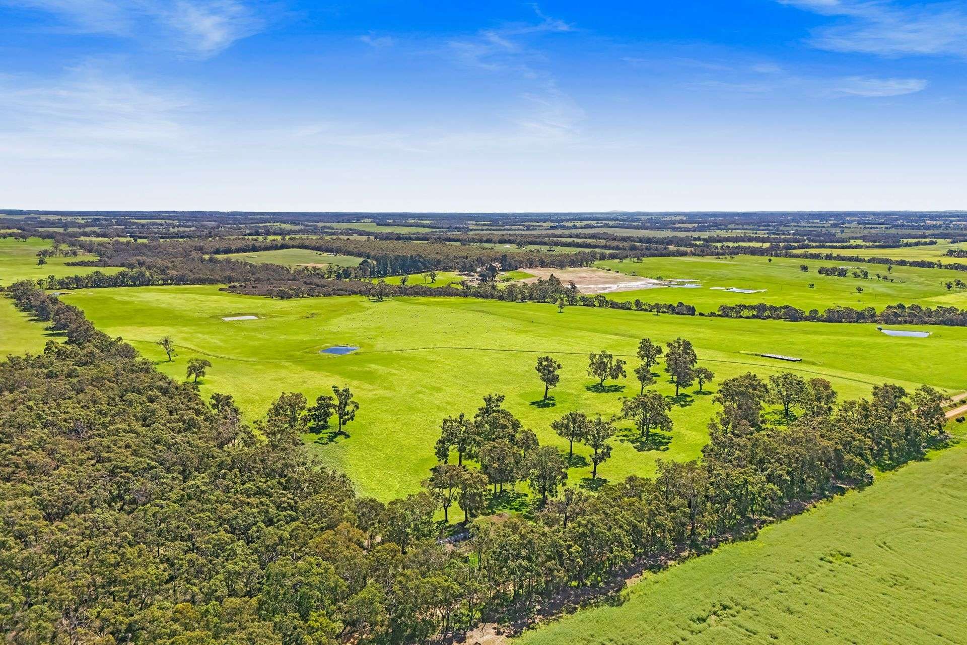 Lot 1153 Crockerup Road, Mount Barker For Sale by Farmbuy.com - image 3