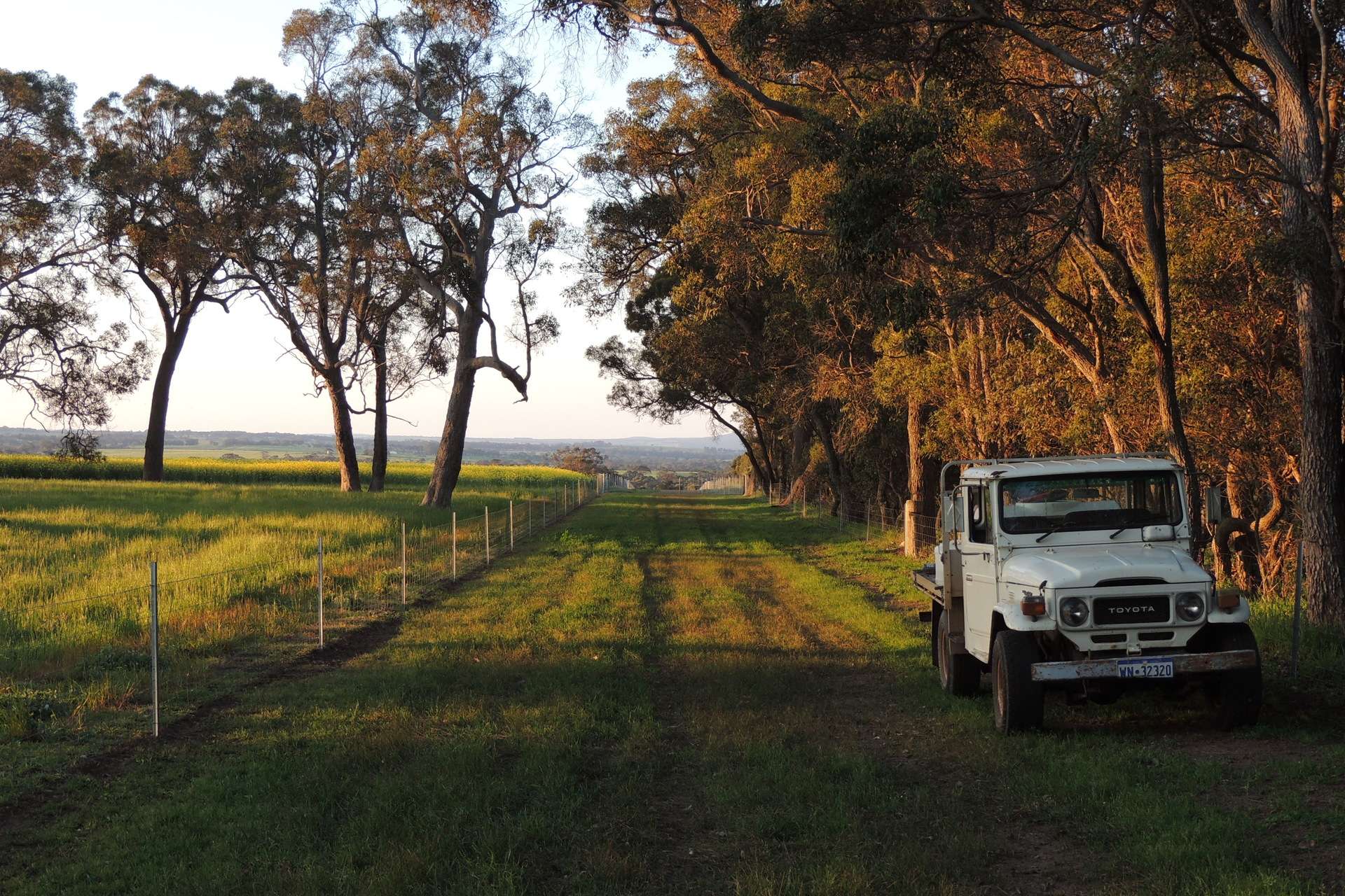 Lot 1153 Crockerup Road, Mount Barker For Sale by Farmbuy.com - image 13