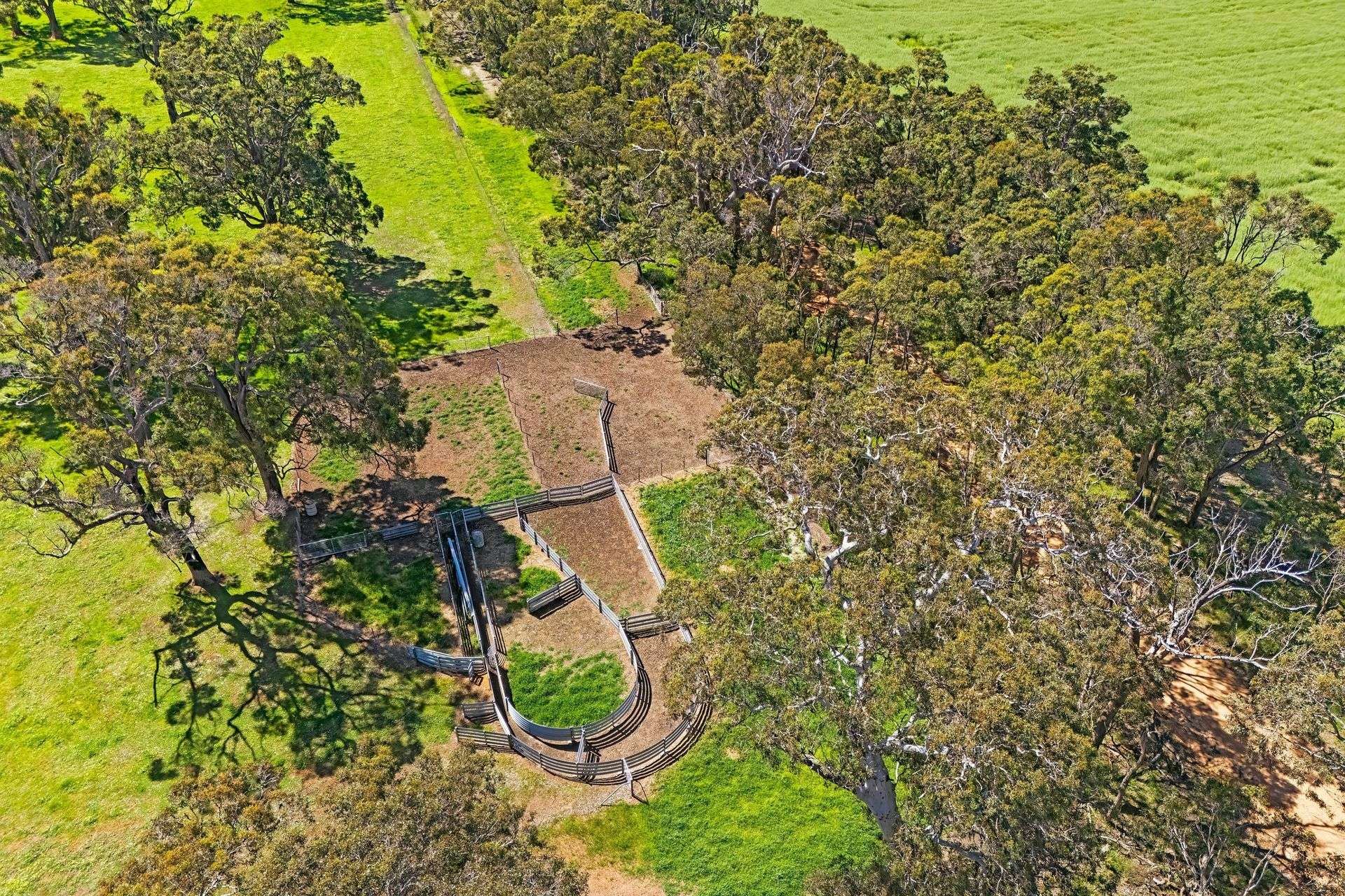 Lot 1153 Crockerup Road, Mount Barker For Sale by Farmbuy.com - image 4