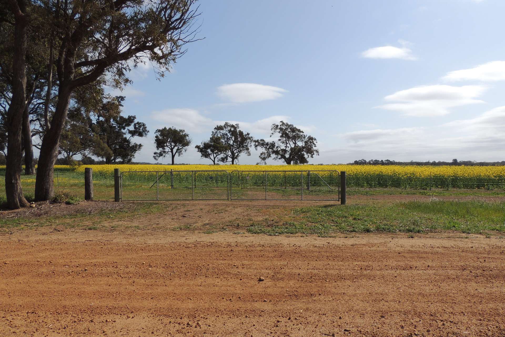 Lot 1153 Crockerup Road, Mount Barker For Sale by Farmbuy.com - image 8