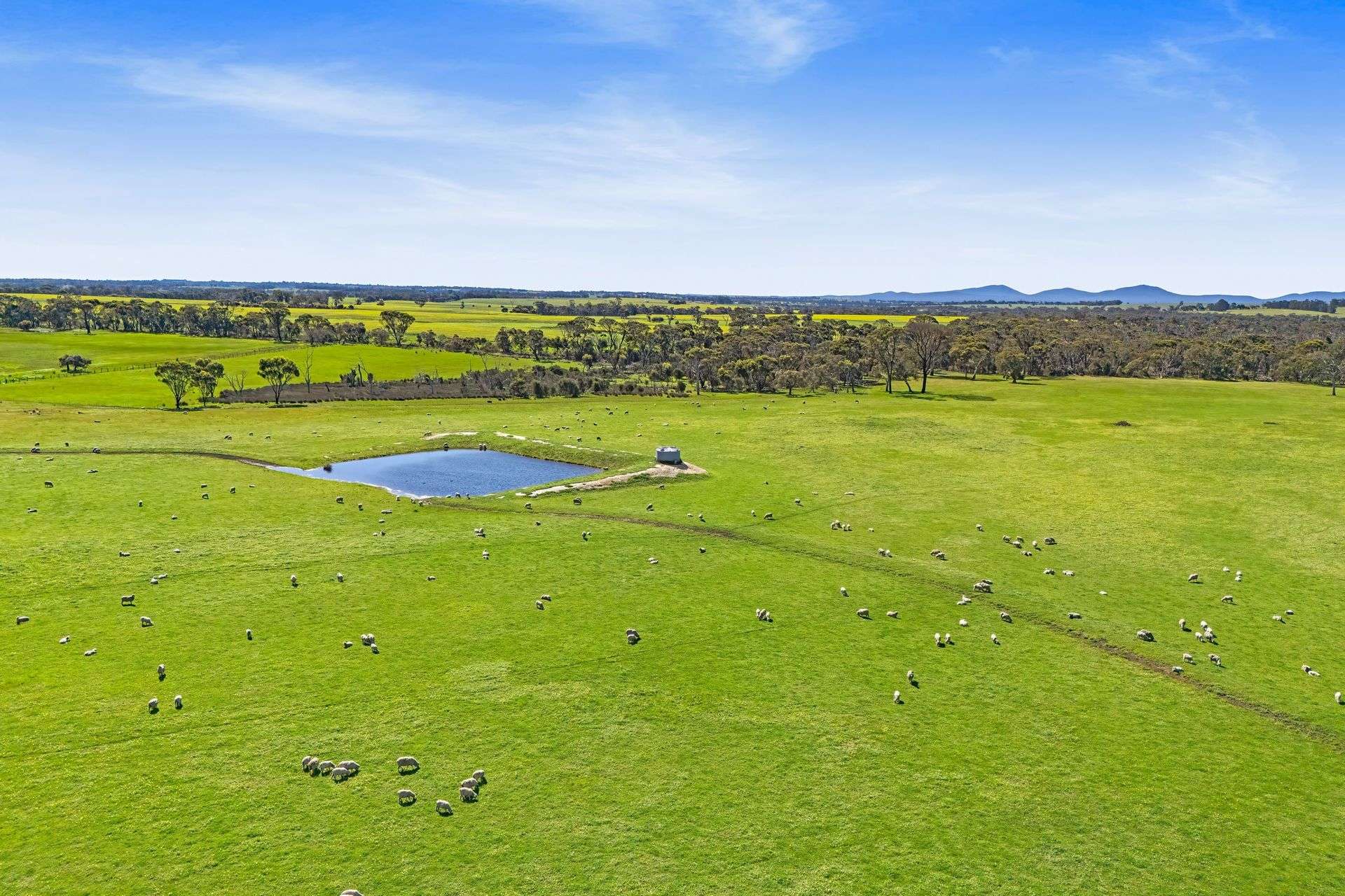 101 Riches Road, Mount Barker For Sale by Farmbuy.com - image 8