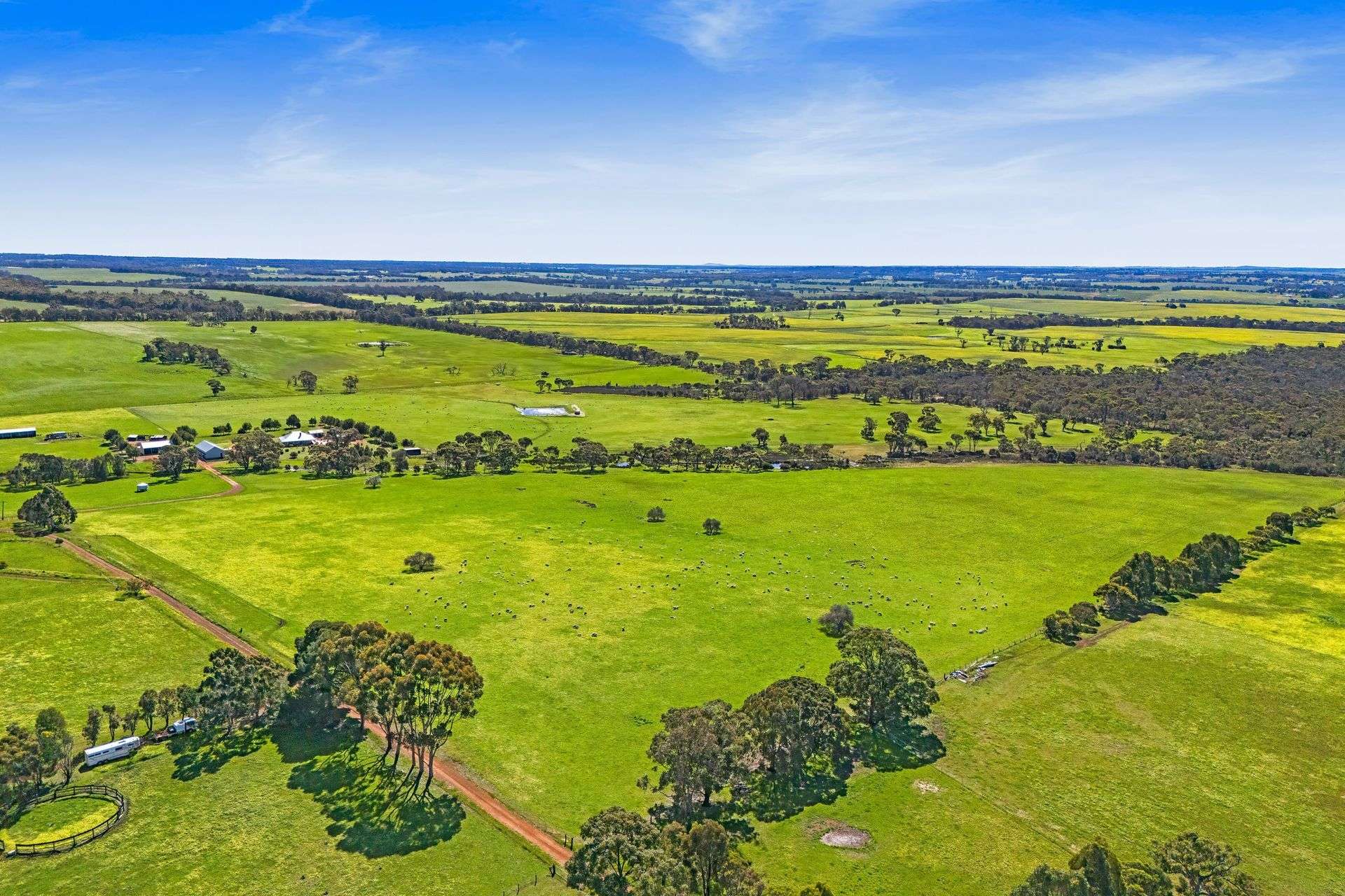 101 Riches Road, Mount Barker For Sale by Farmbuy.com - image 9