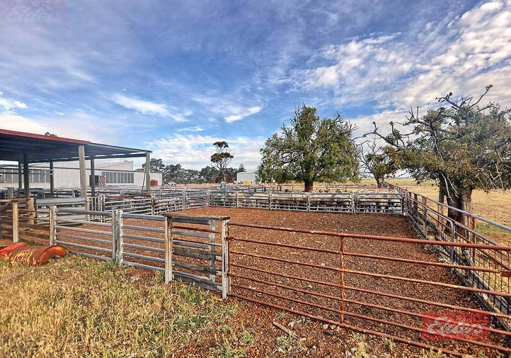 976 Malyalling Road, Malyalling For Sale by Farmbuy.com - image 7