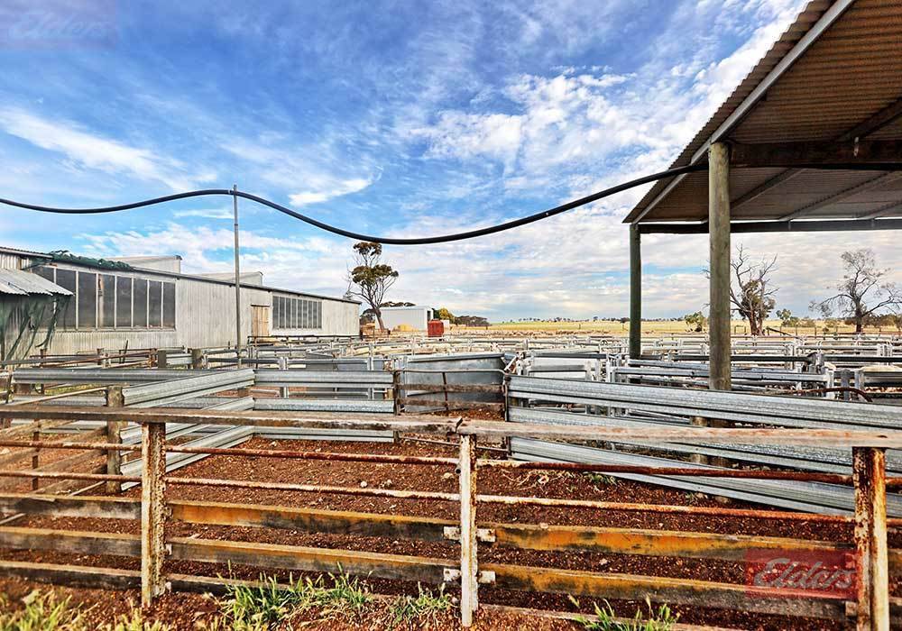 976 Malyalling Road, Malyalling For Sale by Farmbuy.com - image 12