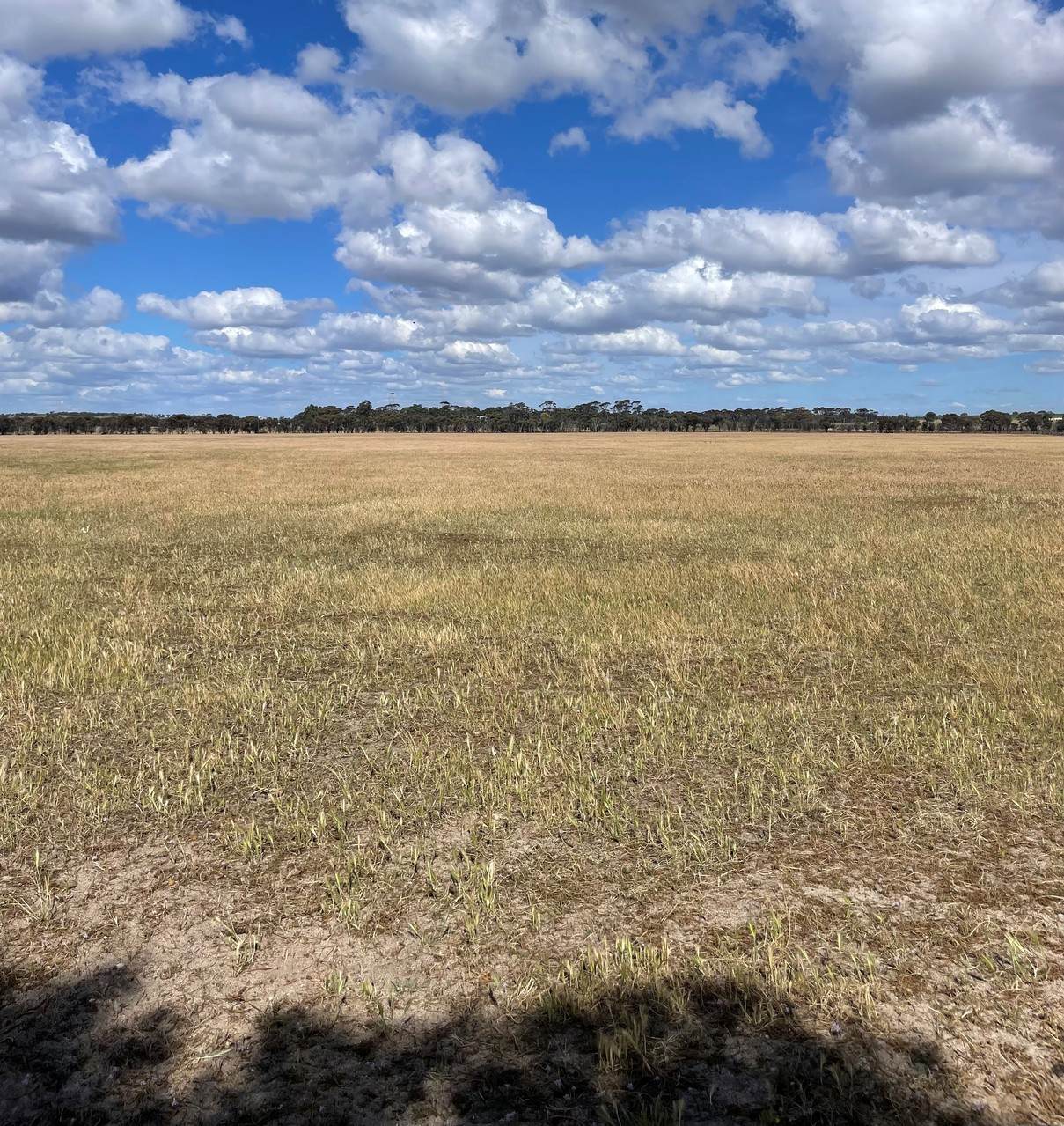 976 Malyalling Road, Malyalling For Sale by Farmbuy.com - image 9
