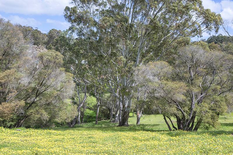 154 Kevill Road, Margaret River For Sale by Farmbuy.com - image 24