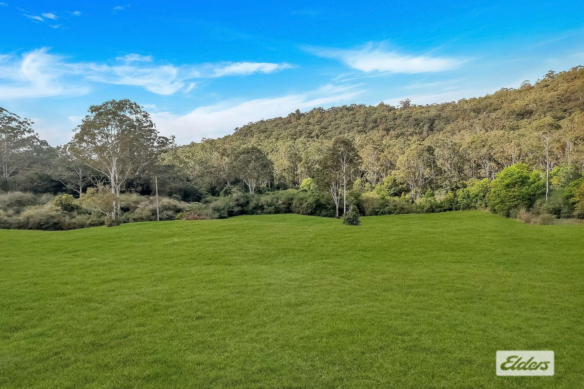 1461 Yarramalong Road, Yarramalong For Sale by Farmbuy.com - image 5