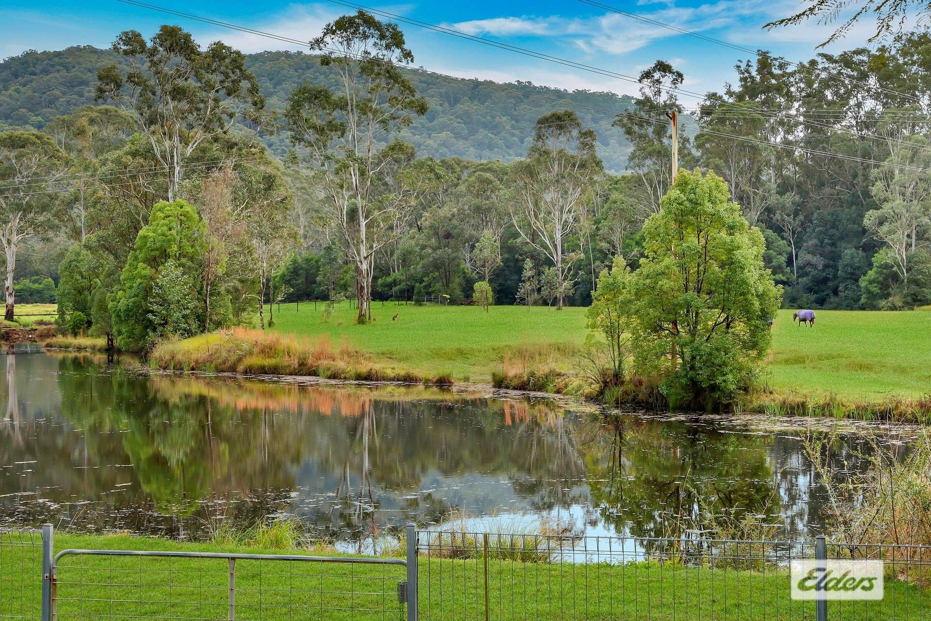 1461 Yarramalong Road, Yarramalong For Sale by Farmbuy.com - image 8