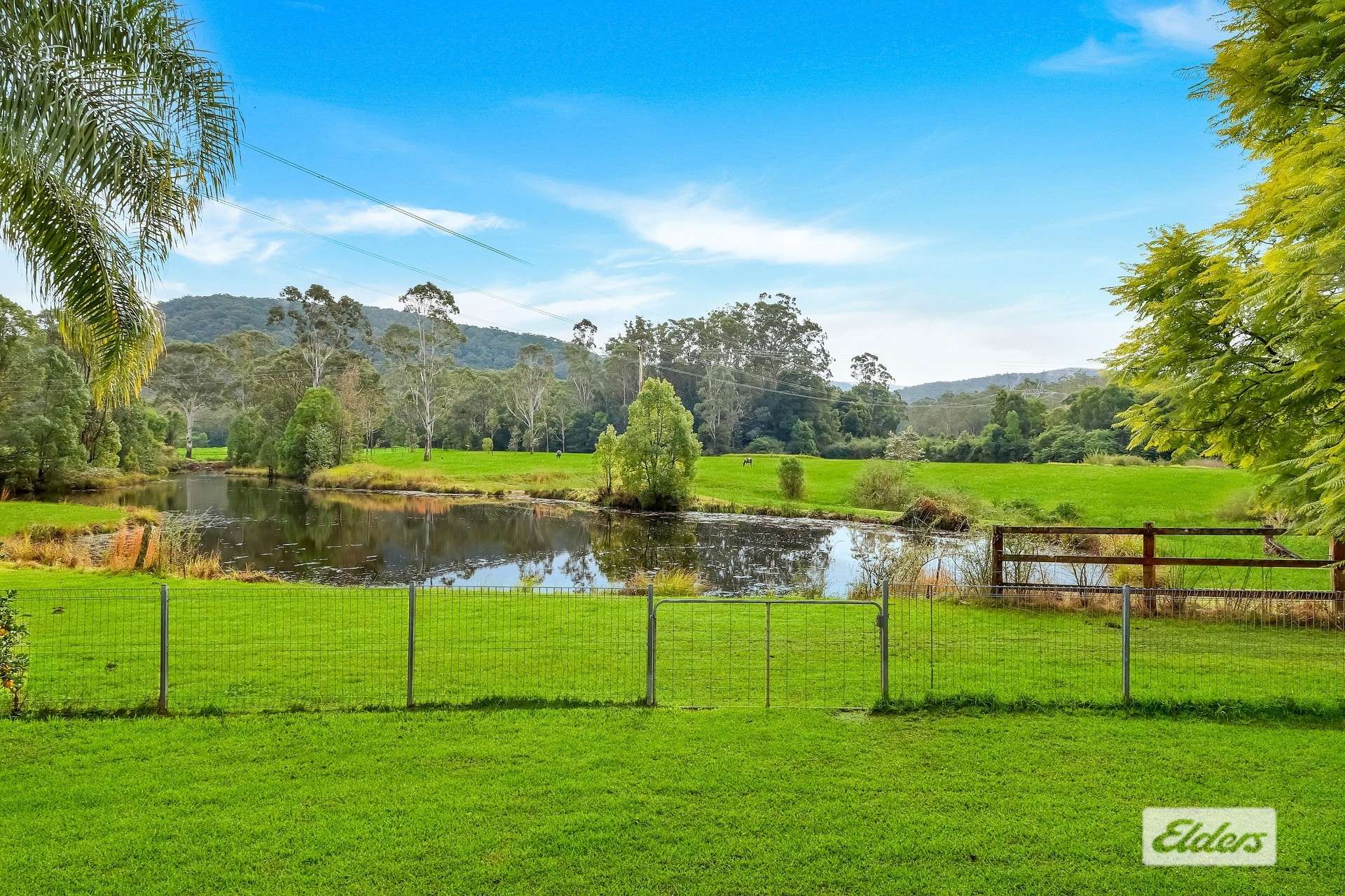 1461 Yarramalong Road, Yarramalong For Sale by Farmbuy.com - image 9