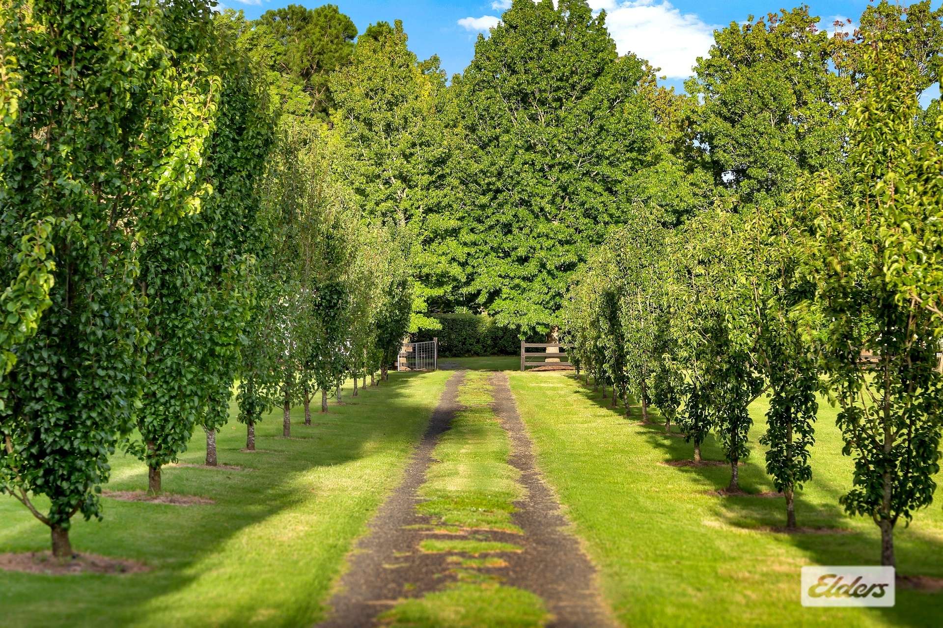 380 George Downes Drive, Central Mangrove For Sale by Farmbuy.com - image 6