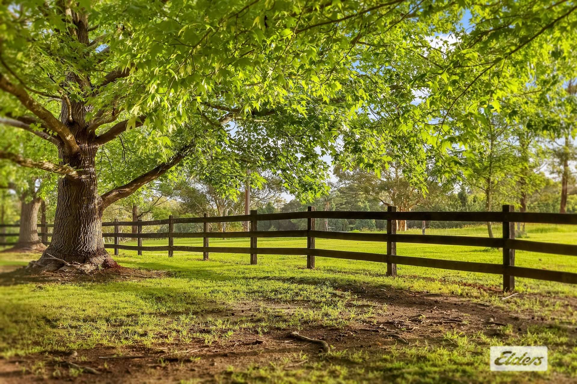 380 George Downes Drive, Central Mangrove For Sale by Farmbuy.com - image 5