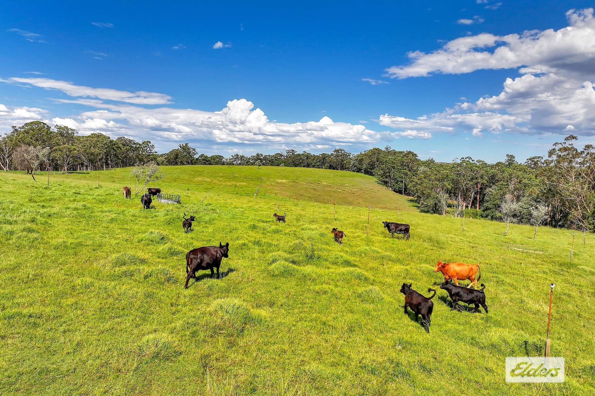 1510 George Downes Drive, Kulnura For Sale by Farmbuy.com - image 12