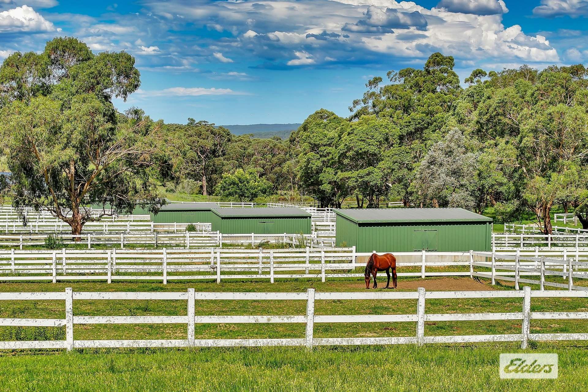 1510 George Downes Drive, Kulnura For Sale by Farmbuy.com - image 6