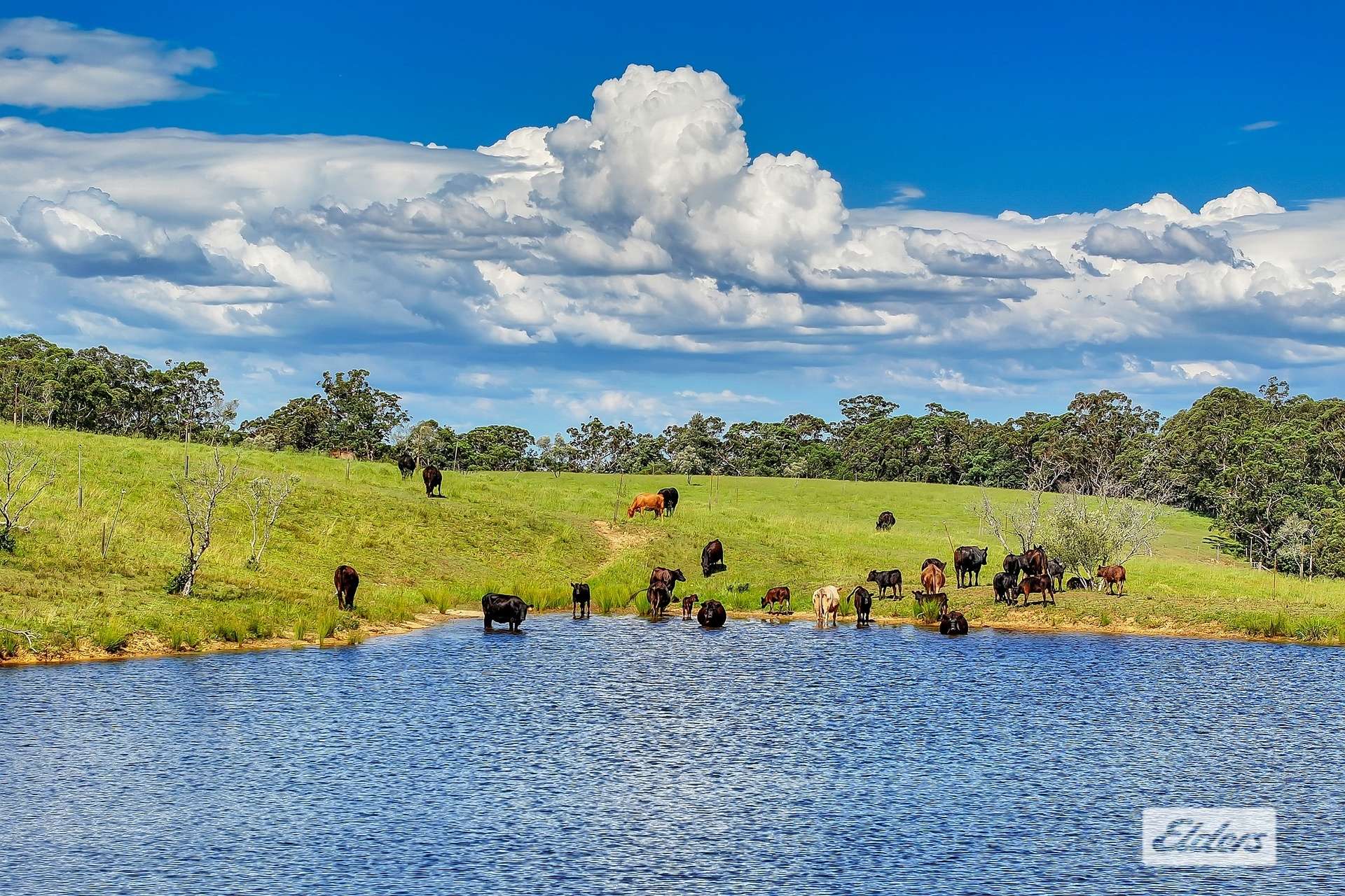 1510 George Downes Drive, Kulnura For Sale by Farmbuy.com - image 2