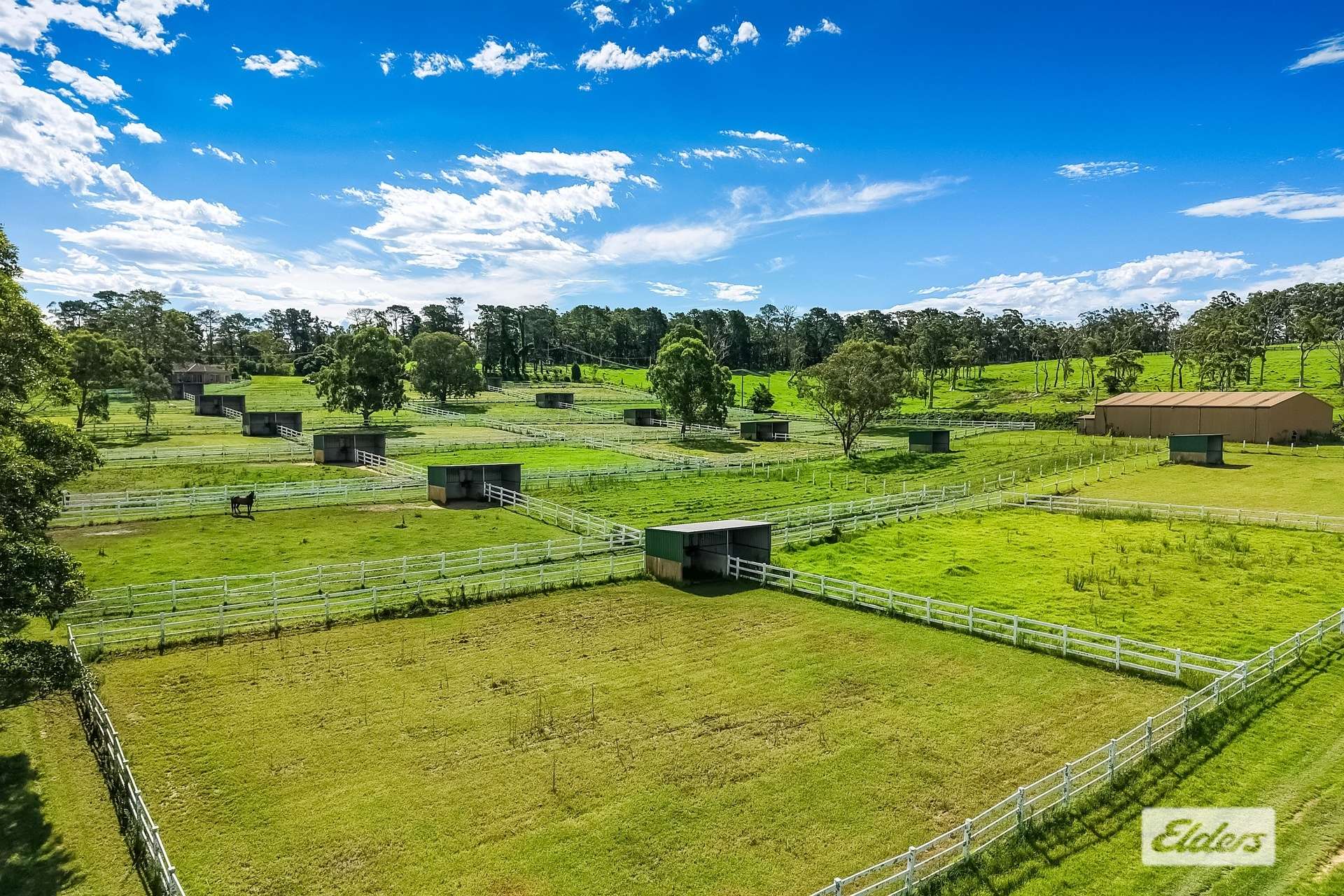 1510 George Downes Drive, Kulnura For Sale by Farmbuy.com - image 11