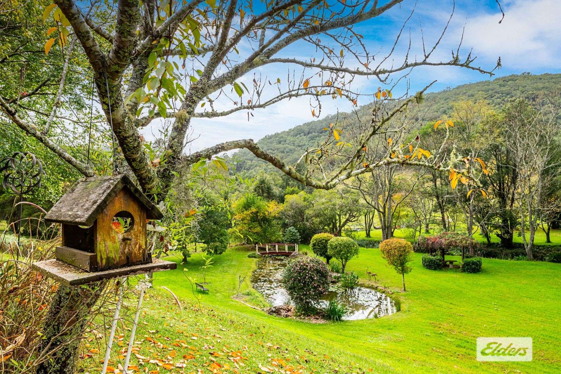 111 Bunning Creek Road, Yarramalong For Sale by Farmbuy.com - image 4