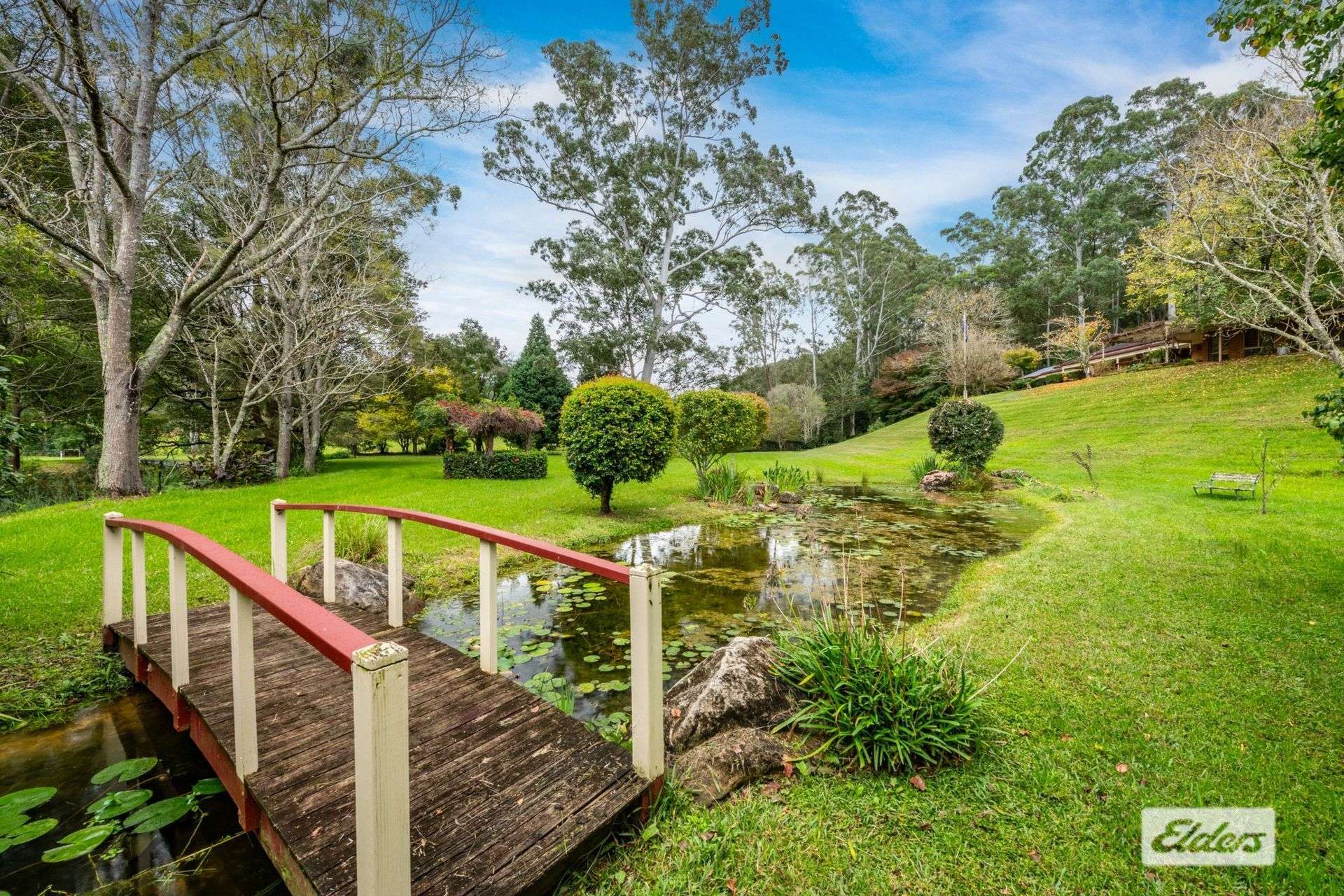 111 Bunning Creek Road, Yarramalong For Sale by Farmbuy.com - image 14