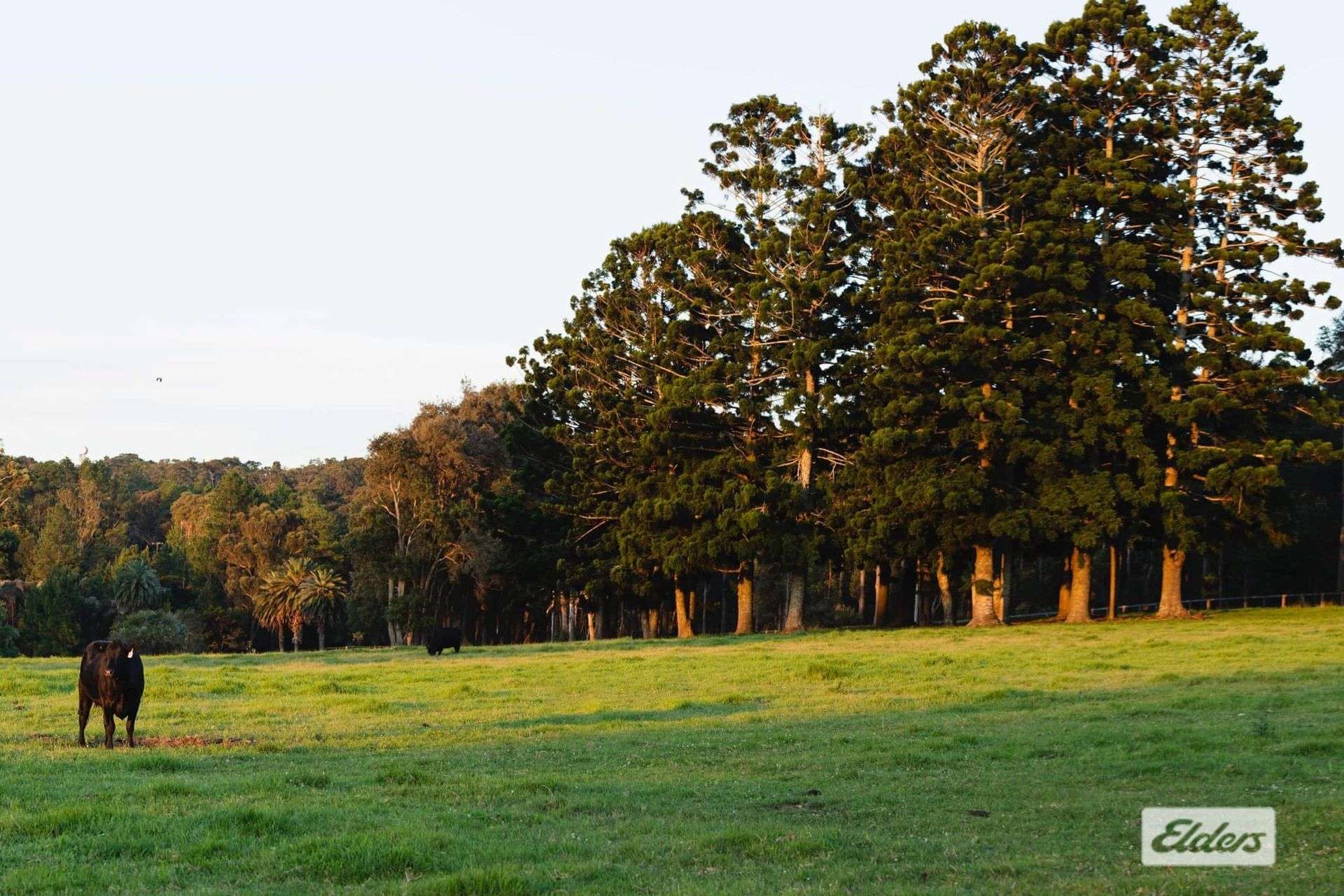 691 Wisemans Ferry Road, Somersby For Sale by Farmbuy.com - image 6