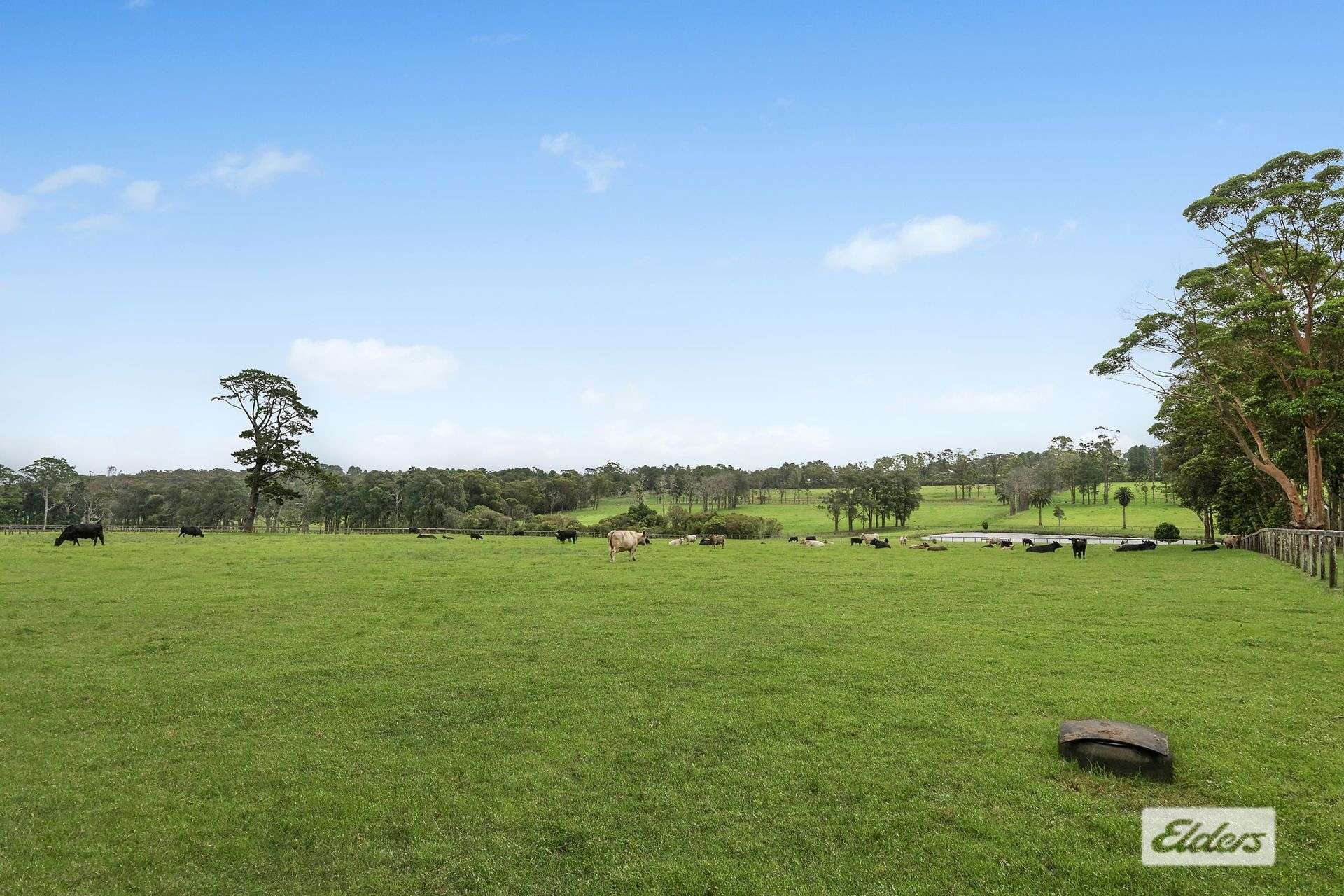 691 Wisemans Ferry Road, Somersby For Sale by Farmbuy.com - image 27