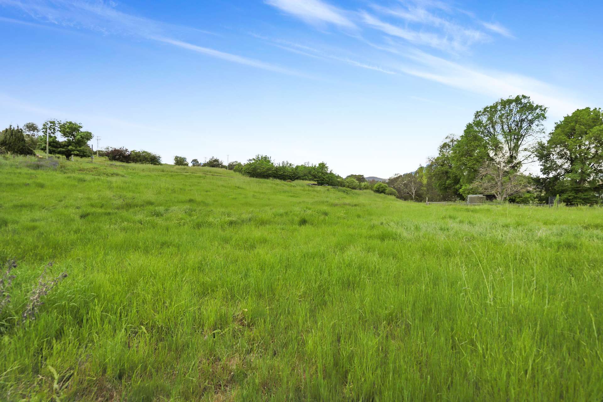 2/43 Victoria Hill Road, Adelong For Sale by Farmbuy.com - image 7