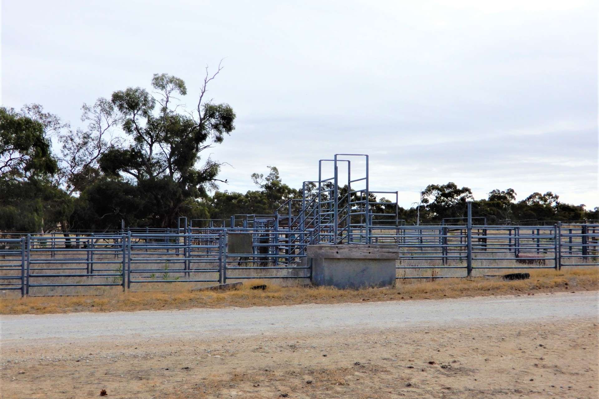 3081 Emu Flat Road, Sherwood For Sale by Farmbuy.com - image 12