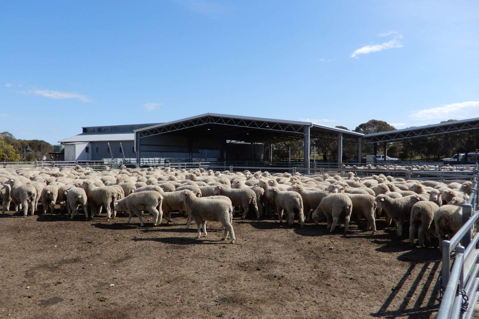 3081 Emu Flat Road, Sherwood For Sale by Farmbuy.com - image 9