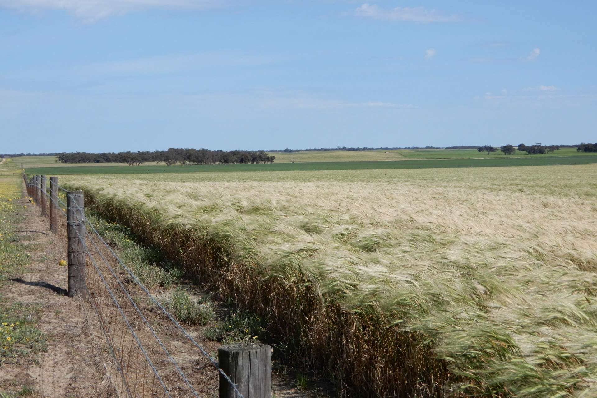 3081 Emu Flat Road, Sherwood For Sale by Farmbuy.com - image 17