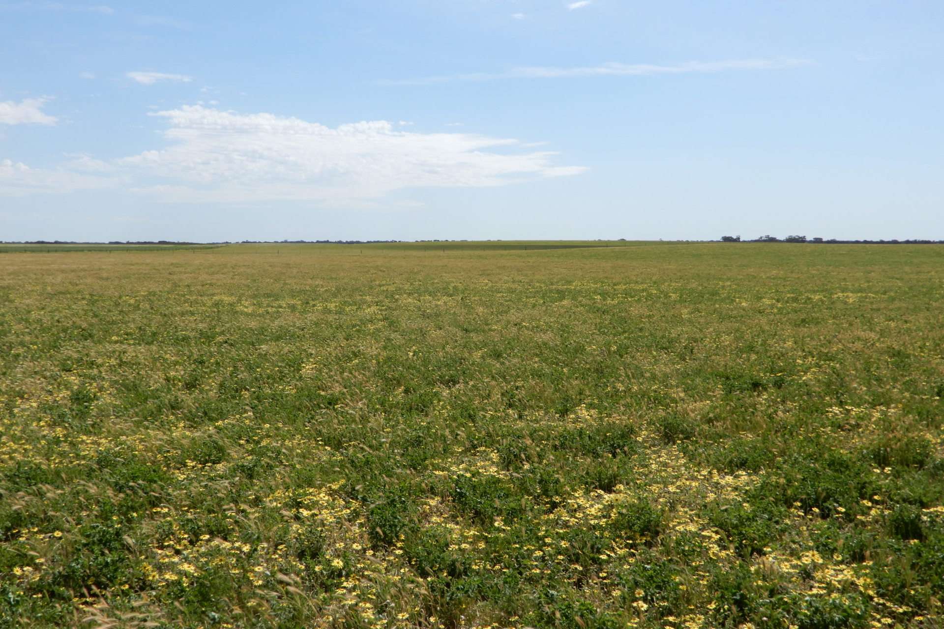 3081 Emu Flat Road, Sherwood For Sale by Farmbuy.com - image 25
