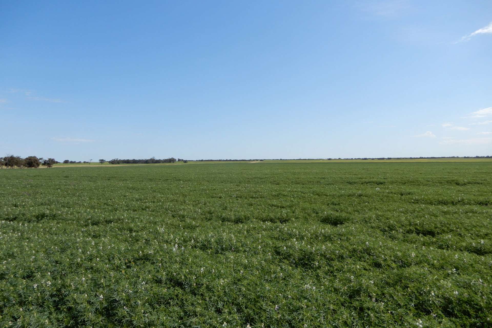 3081 Emu Flat Road, Sherwood For Sale by Farmbuy.com - image 7