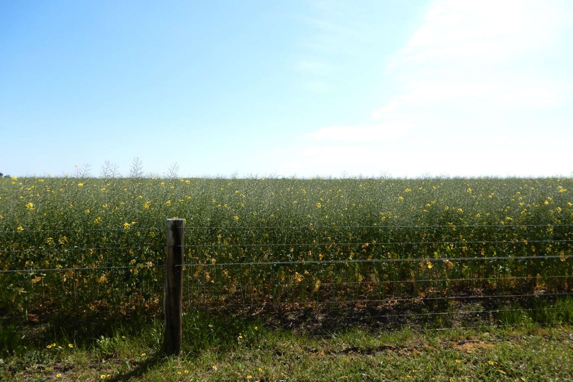 3081 Emu Flat Road, Sherwood For Sale by Farmbuy.com - image 6