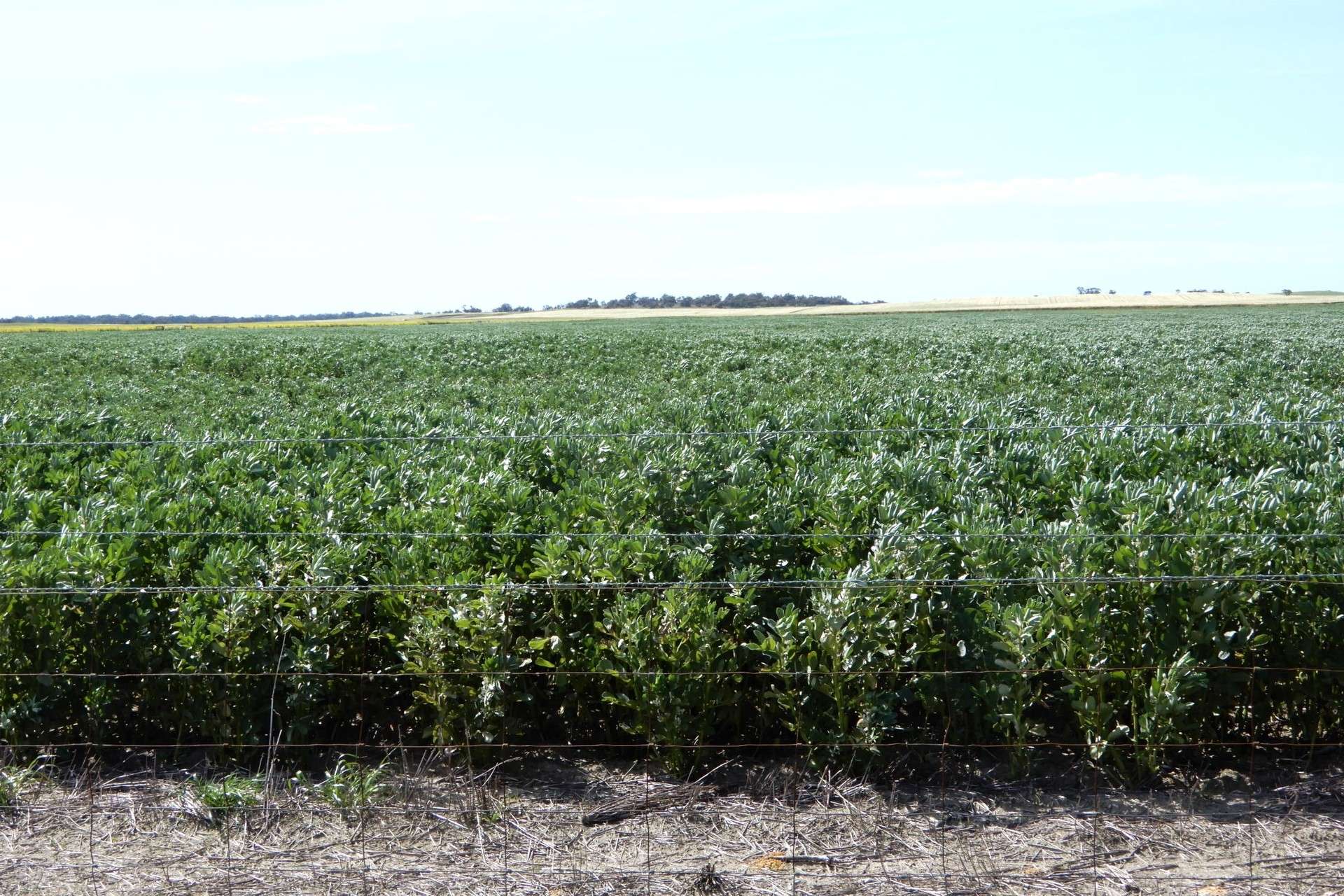 3081 Emu Flat Road, Sherwood For Sale by Farmbuy.com - image 28