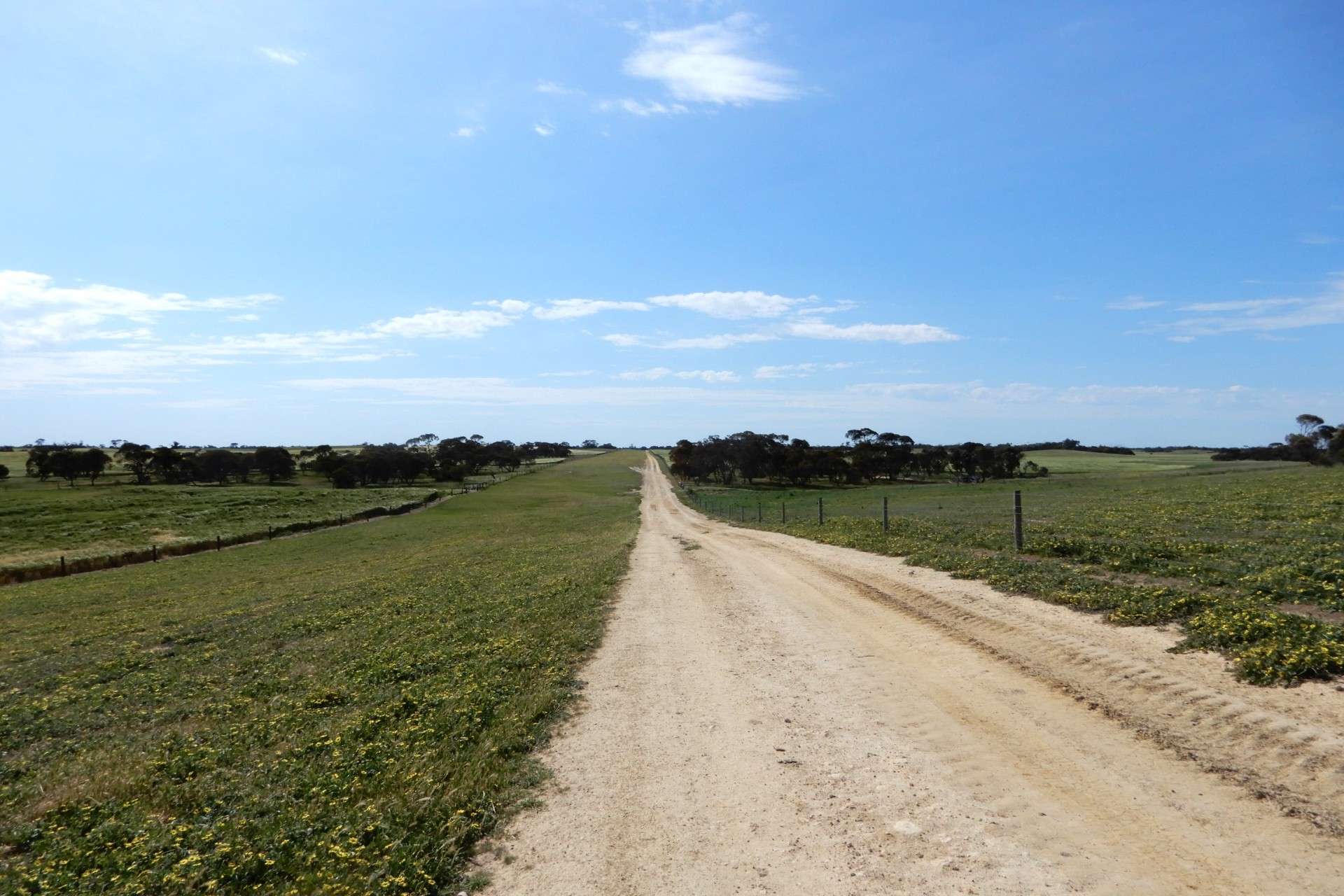3081 Emu Flat Road, Sherwood For Sale by Farmbuy.com - image 18