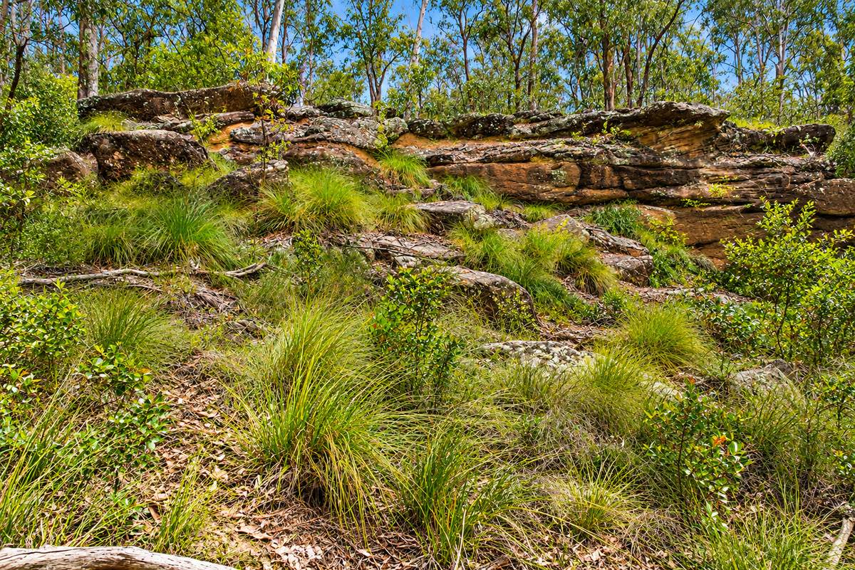 Lot 47,  Hogarth Range Road, Hogarth Range For Sale by Farmbuy.com - image 17