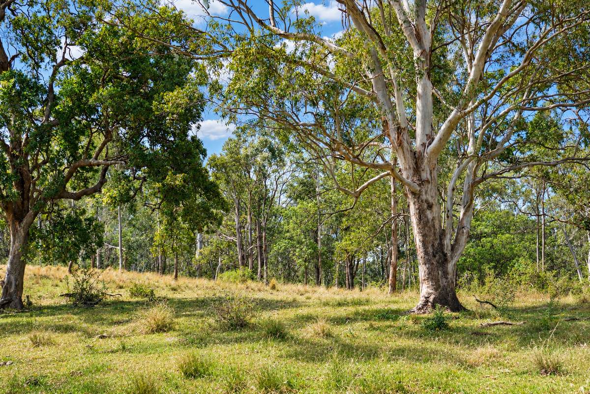 Lot 47,  Hogarth Range Road, Hogarth Range For Sale by Farmbuy.com - image 10